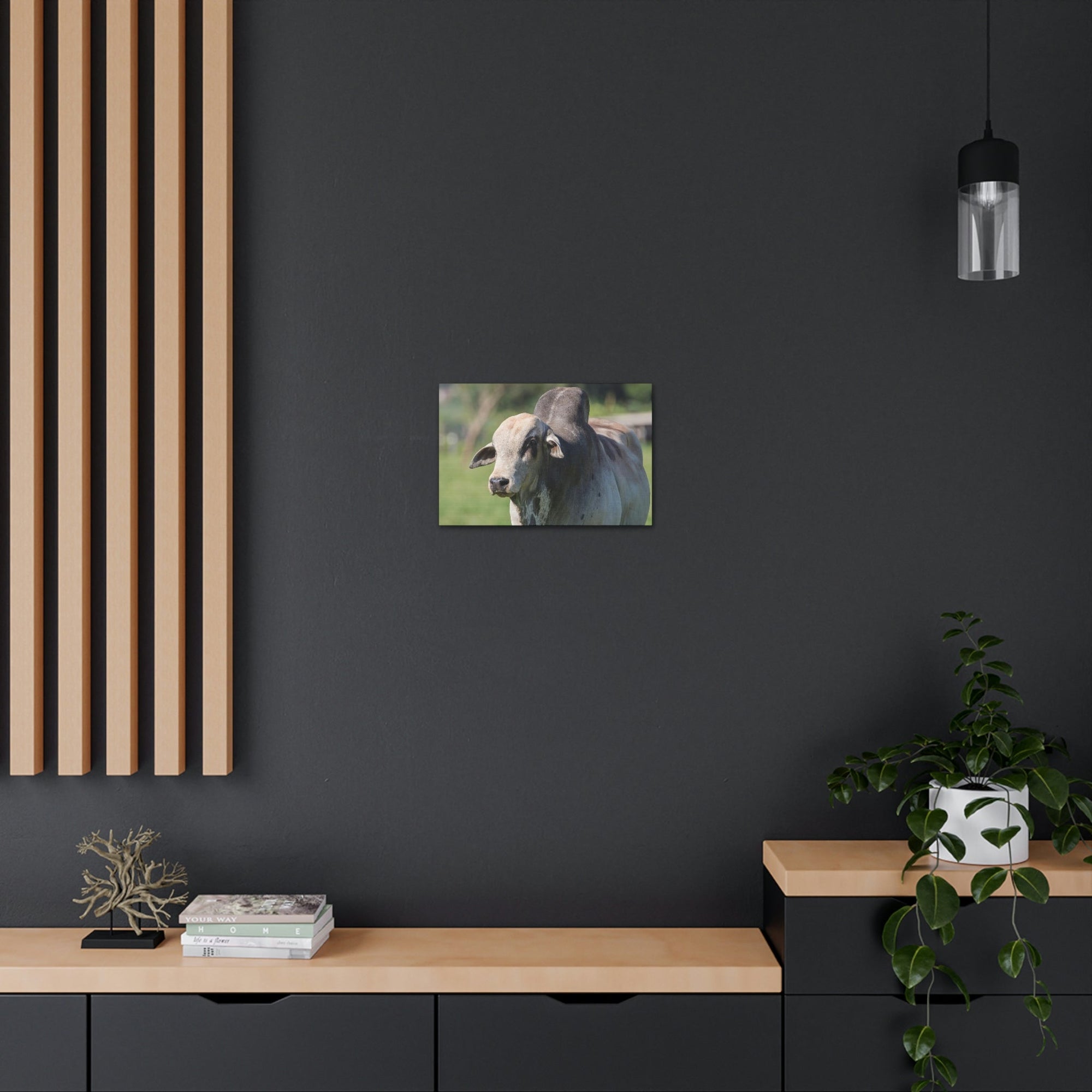 Funny Zebu Silly Zebu Scene Outside Wall Art Ready to Hang Unframed-Express Your Love Gifts