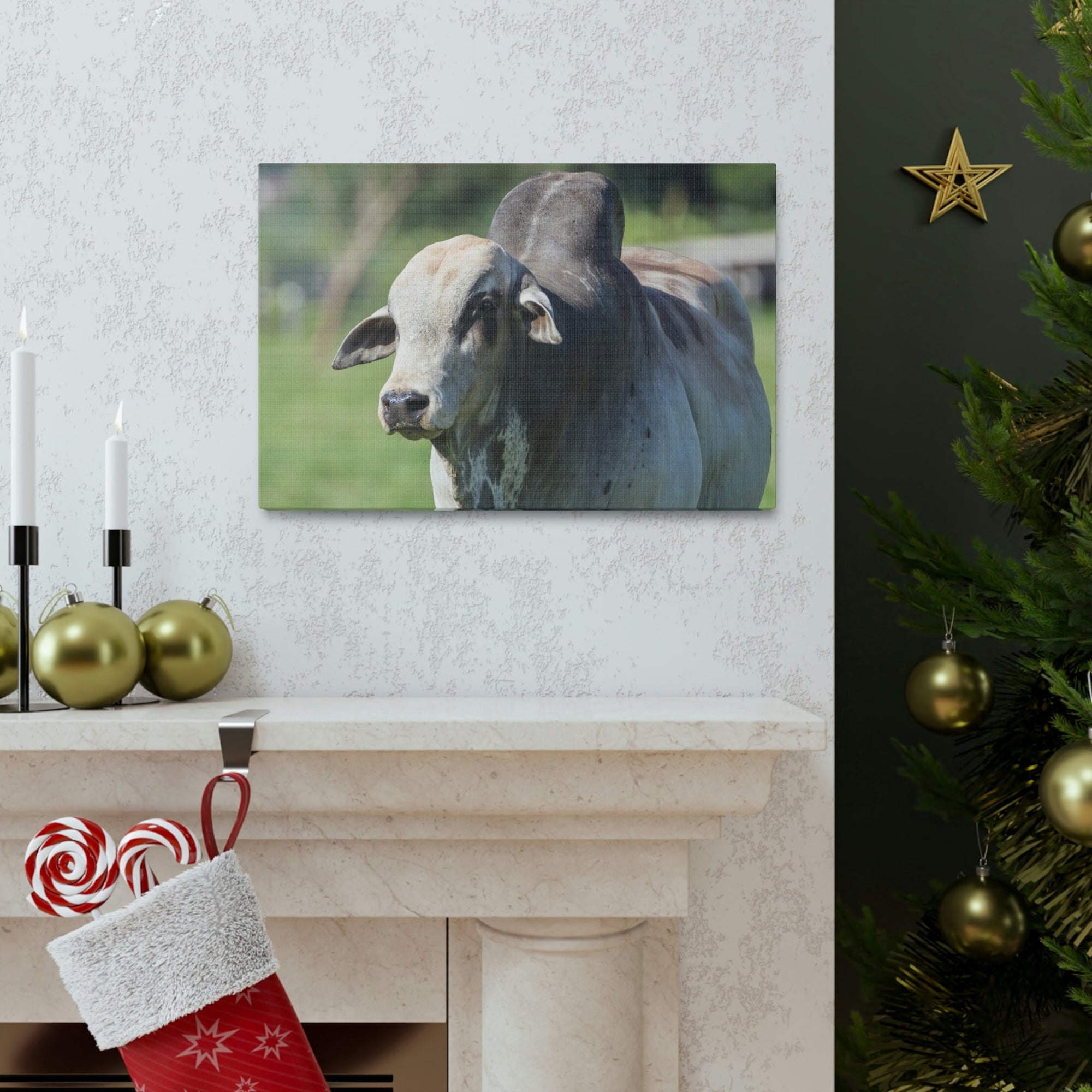 Funny Zebu Silly Zebu Scene Outside Wall Art Ready to Hang Unframed-Express Your Love Gifts