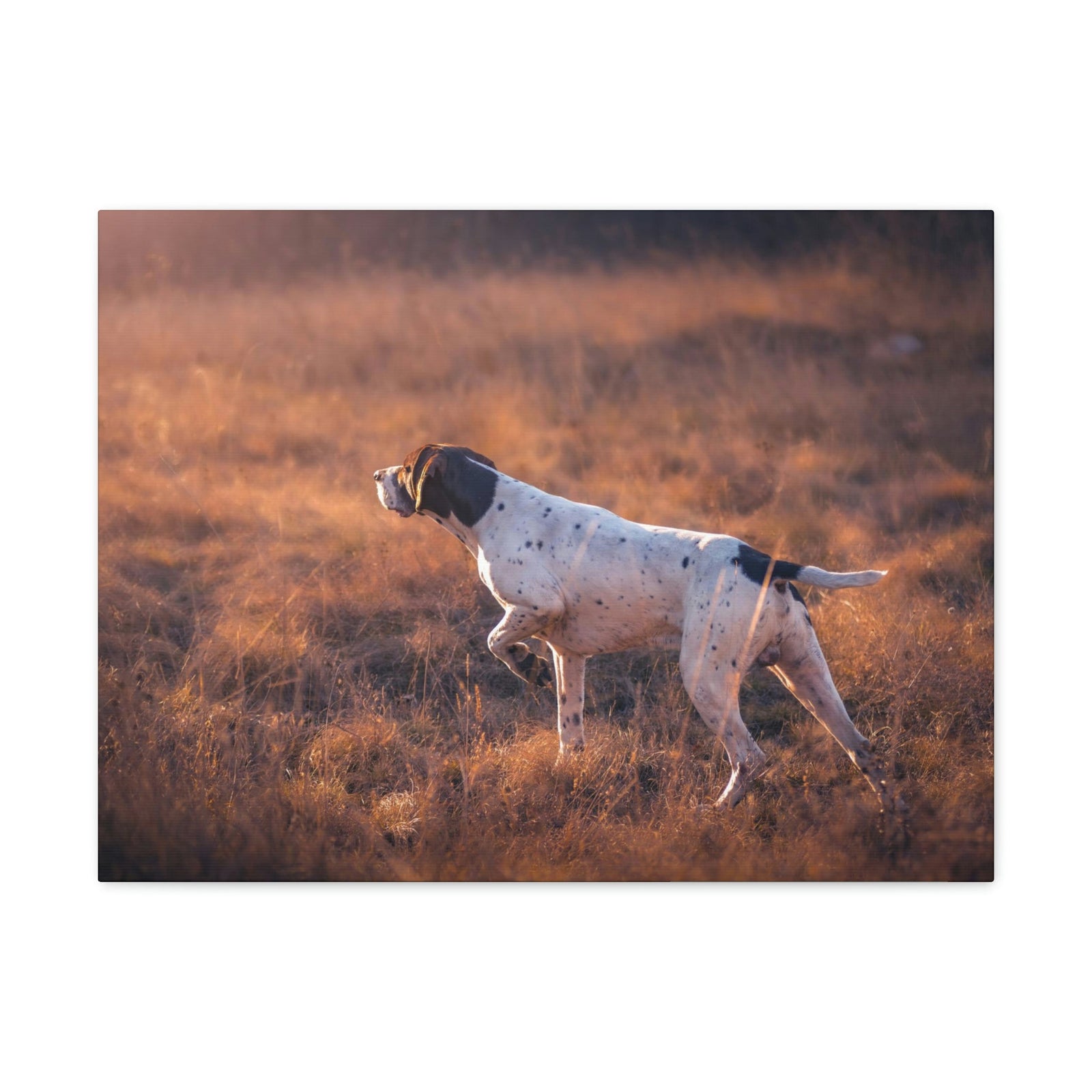 Scripture Walls German Shorthair Dog Hunting Print Animal Wall Art Wildlife Canvas Prints Wall Art Ready to Hang Unframed-Express Your Love Gifts