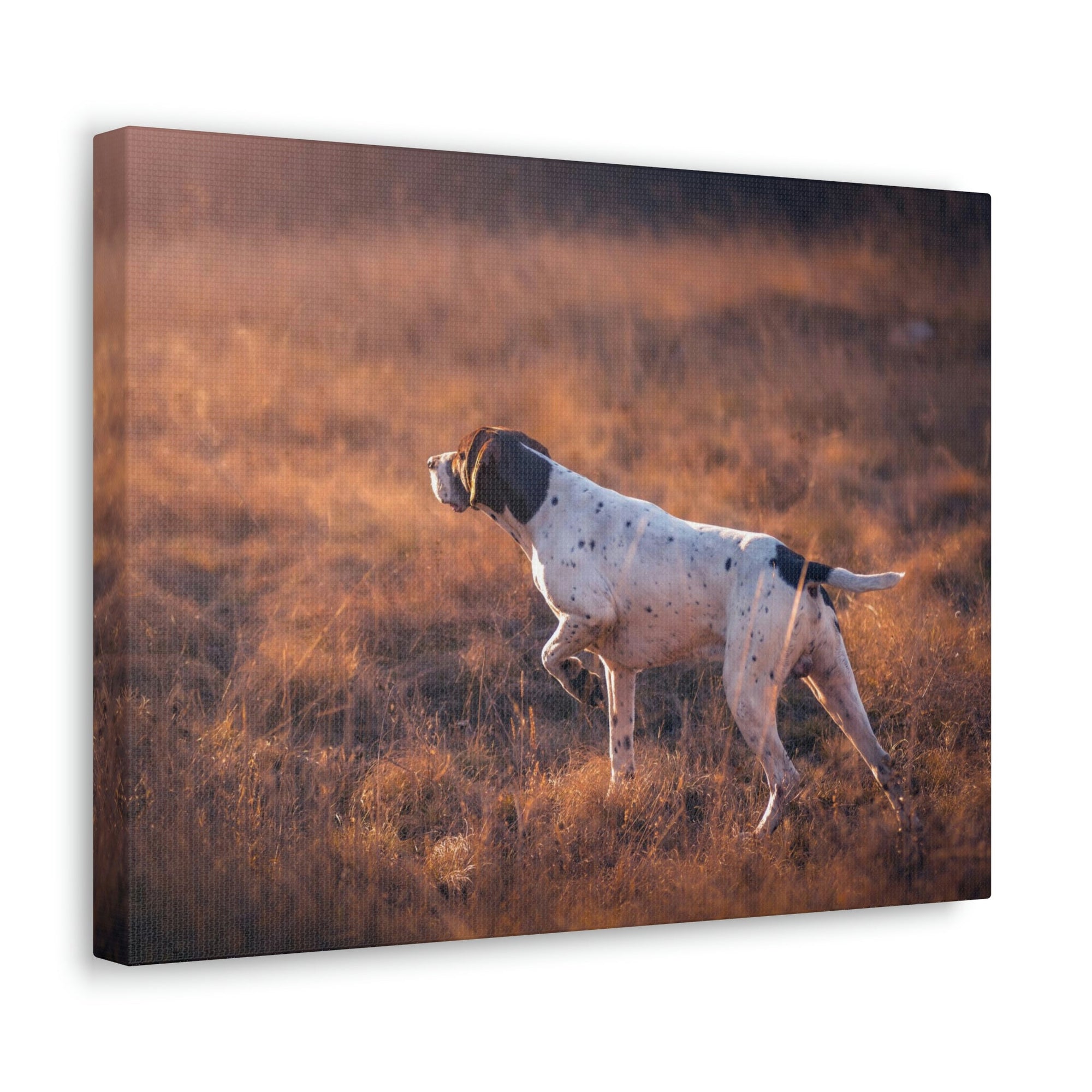 Scripture Walls German Shorthair Dog Hunting Print Animal Wall Art Wildlife Canvas Prints Wall Art Ready to Hang Unframed-Express Your Love Gifts