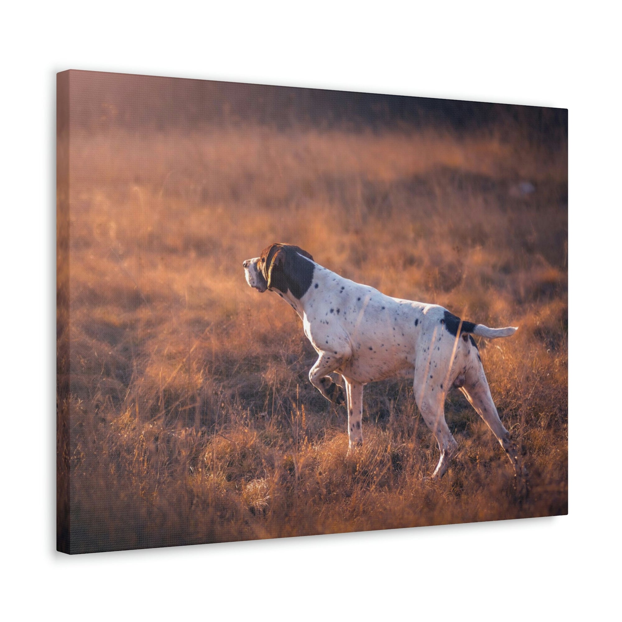 Scripture Walls German Shorthair Dog Hunting Print Animal Wall Art Wildlife Canvas Prints Wall Art Ready to Hang Unframed-Express Your Love Gifts