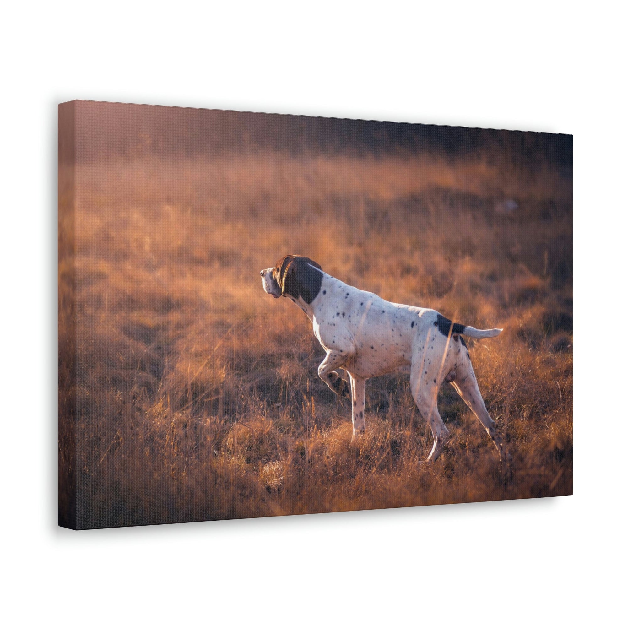 Scripture Walls German Shorthair Dog Hunting Print Animal Wall Art Wildlife Canvas Prints Wall Art Ready to Hang Unframed-Express Your Love Gifts