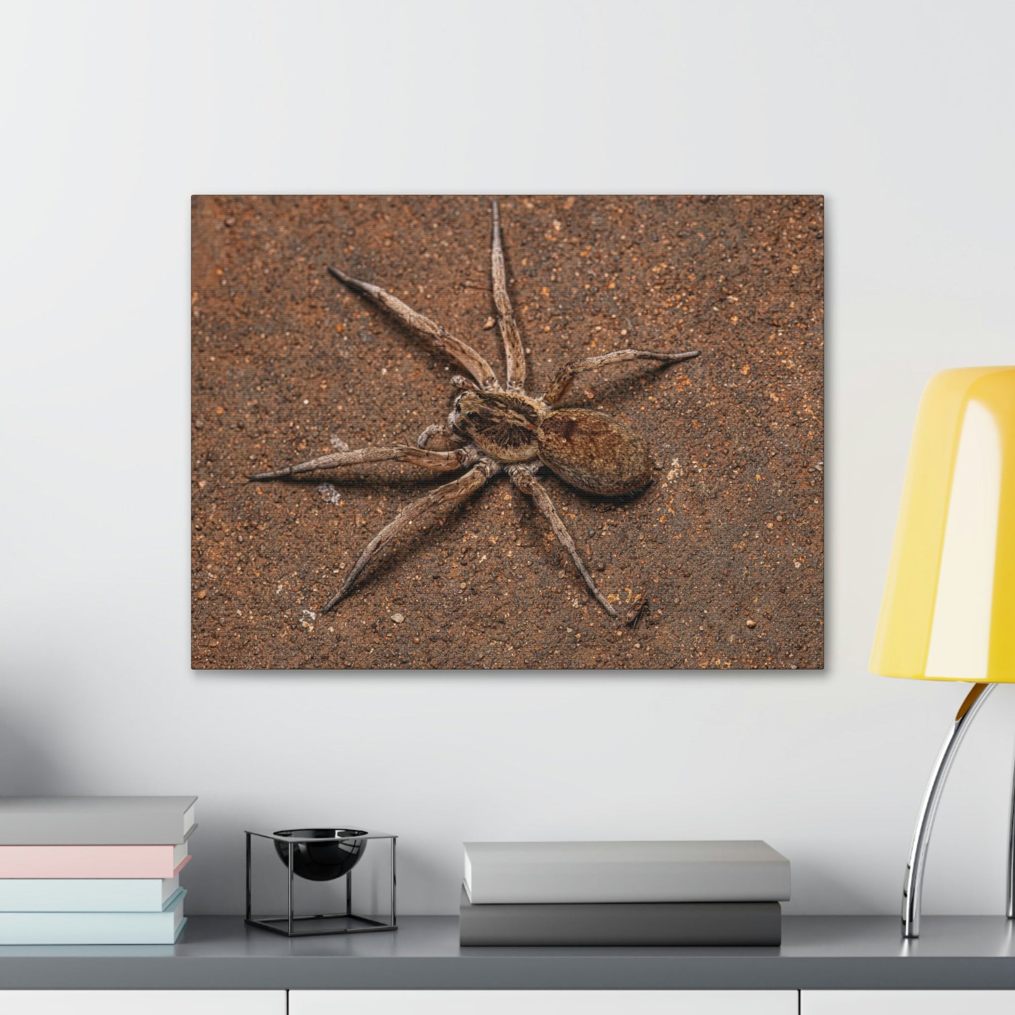 Scripture Walls Grandiose Adult Female Wolf Spider Print Animal Wall Art Wildlife Canvas Prints Wall Art Ready to Hang Unframed-Express Your Love Gifts