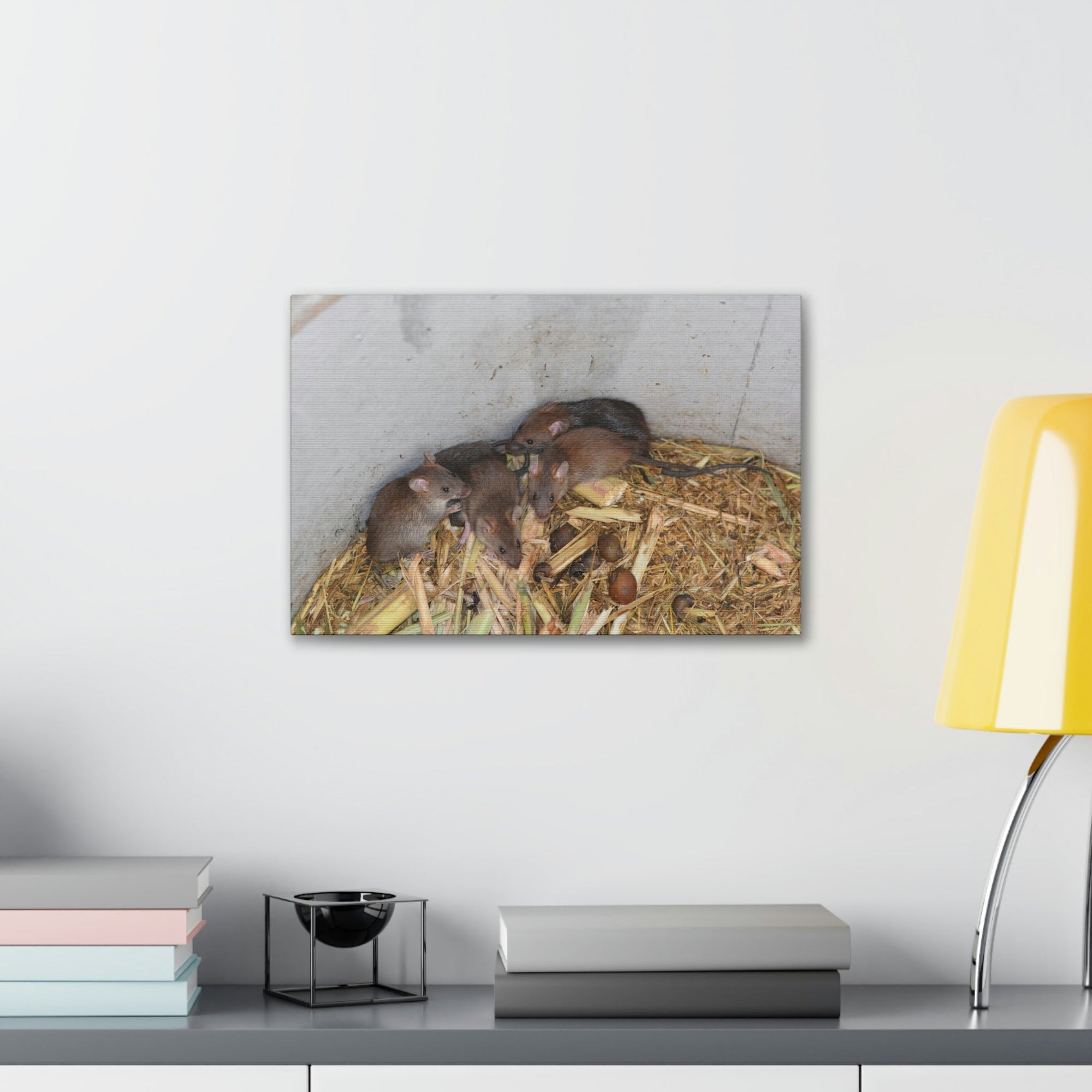 Scripture Walls Group of Bandicoots Snuggled Together Print Animal Wall Art Wildlife Canvas Prints Wall Art Ready to Hang Unframed-Express Your Love Gifts