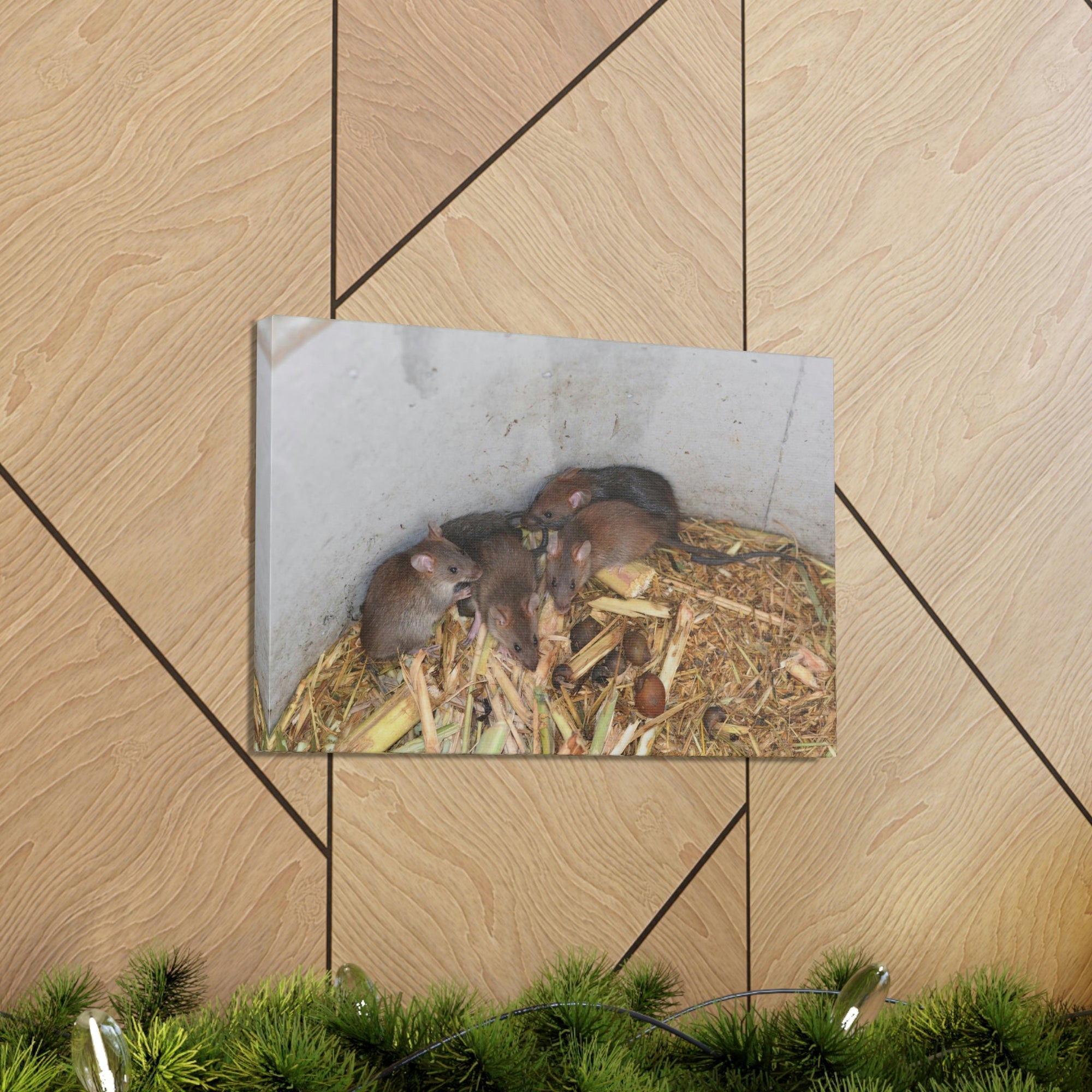 Scripture Walls Group of Bandicoots Snuggled Together Print Animal Wall Art Wildlife Canvas Prints Wall Art Ready to Hang Unframed-Express Your Love Gifts