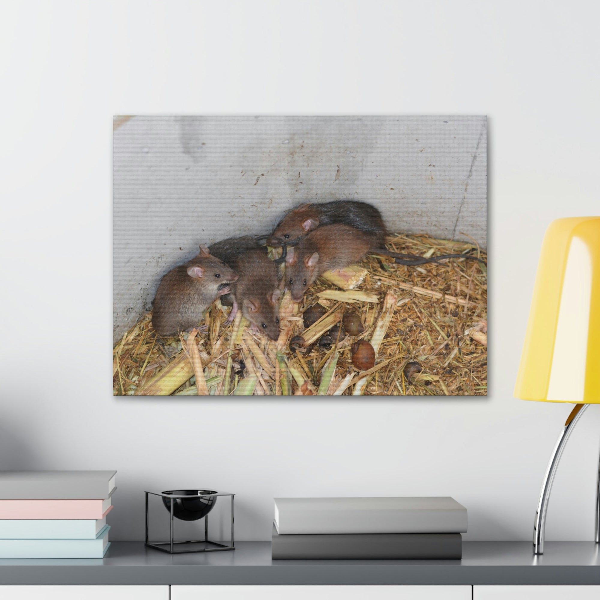 Scripture Walls Group of Bandicoots Snuggled Together Print Animal Wall Art Wildlife Canvas Prints Wall Art Ready to Hang Unframed-Express Your Love Gifts