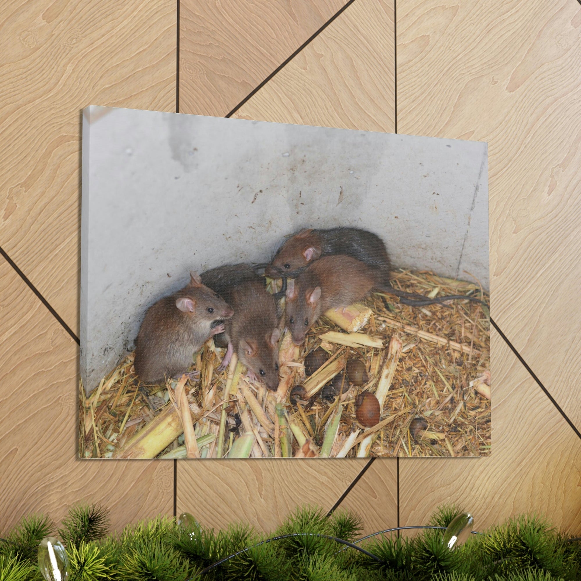 Scripture Walls Group of Bandicoots Snuggled Together Print Animal Wall Art Wildlife Canvas Prints Wall Art Ready to Hang Unframed-Express Your Love Gifts