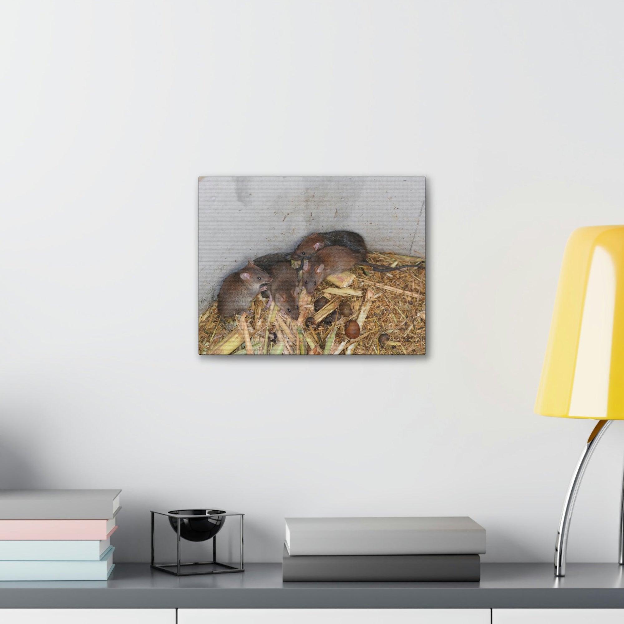 Scripture Walls Group of Bandicoots Snuggled Together Print Animal Wall Art Wildlife Canvas Prints Wall Art Ready to Hang Unframed-Express Your Love Gifts