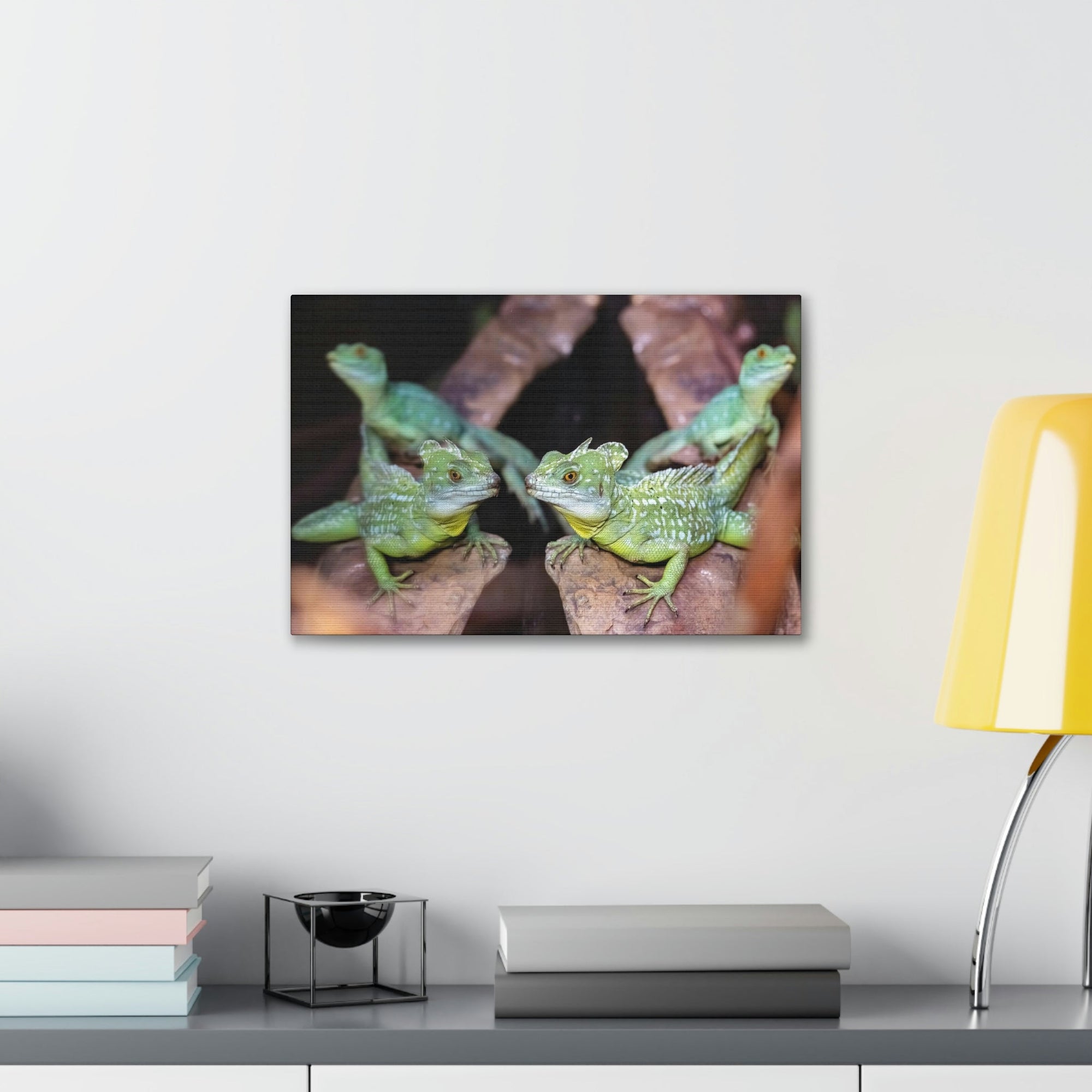 Scripture Walls Group of Helmet Bearing Basilisk Print Animal Wall Art Wildlife Canvas Prints Wall Art Ready to Hang Unframed-Express Your Love Gifts