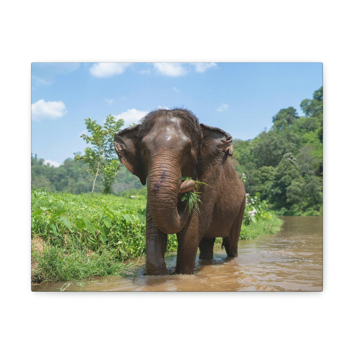 Scripture Walls Hunting Asian Elephant on River Print Animal Wall Art Wildlife Canvas Prints Wall Art Ready to Hang Unframed-Express Your Love Gifts