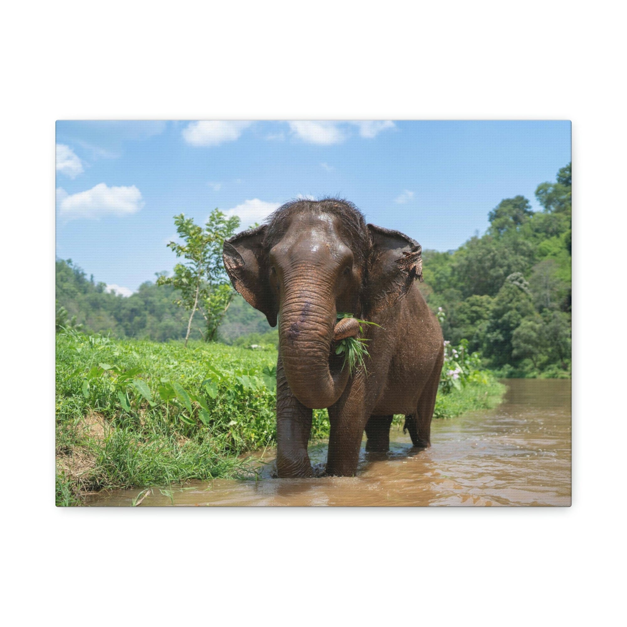 Scripture Walls Hunting Asian Elephant on River Print Animal Wall Art Wildlife Canvas Prints Wall Art Ready to Hang Unframed-Express Your Love Gifts