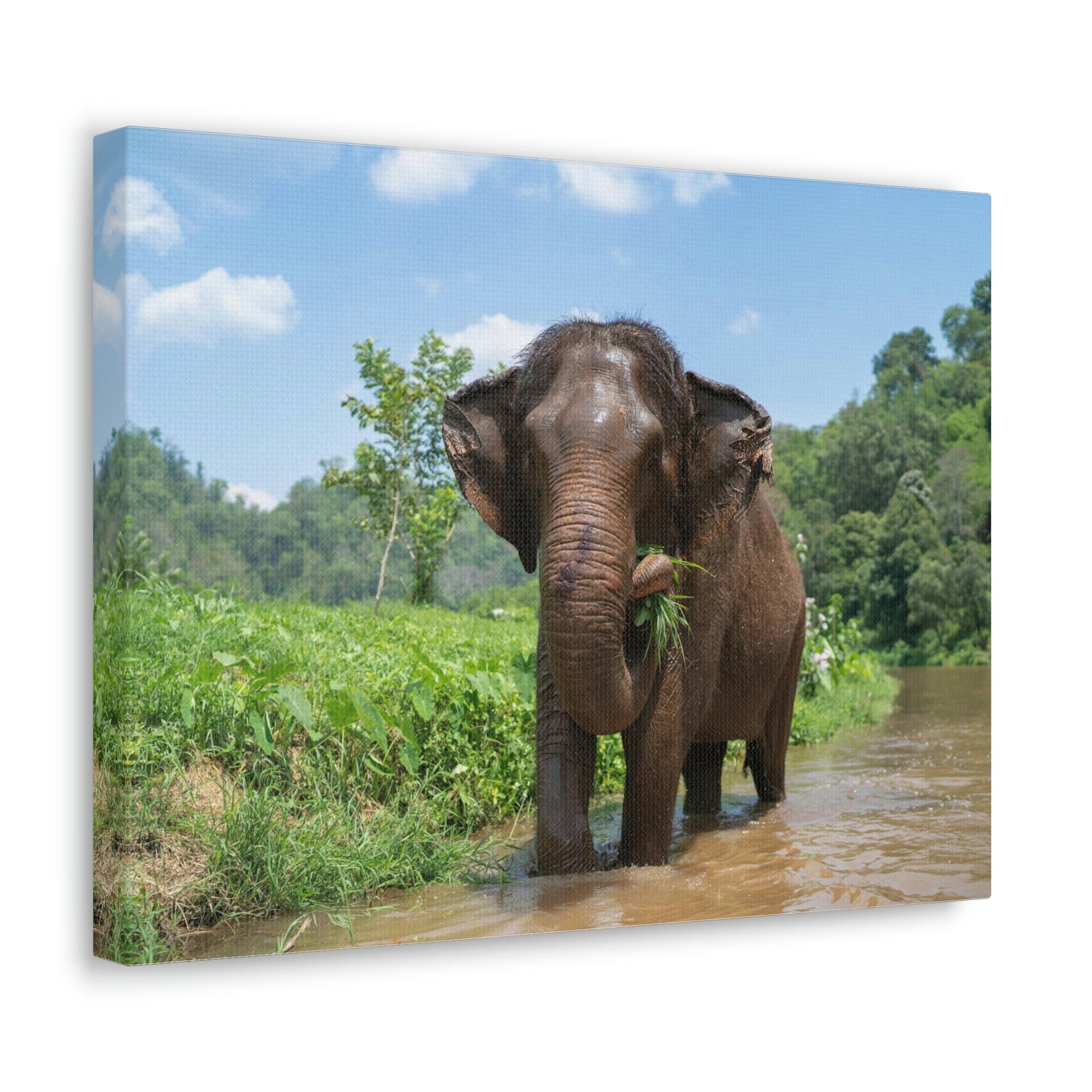 Scripture Walls Hunting Asian Elephant on River Print Animal Wall Art Wildlife Canvas Prints Wall Art Ready to Hang Unframed-Express Your Love Gifts