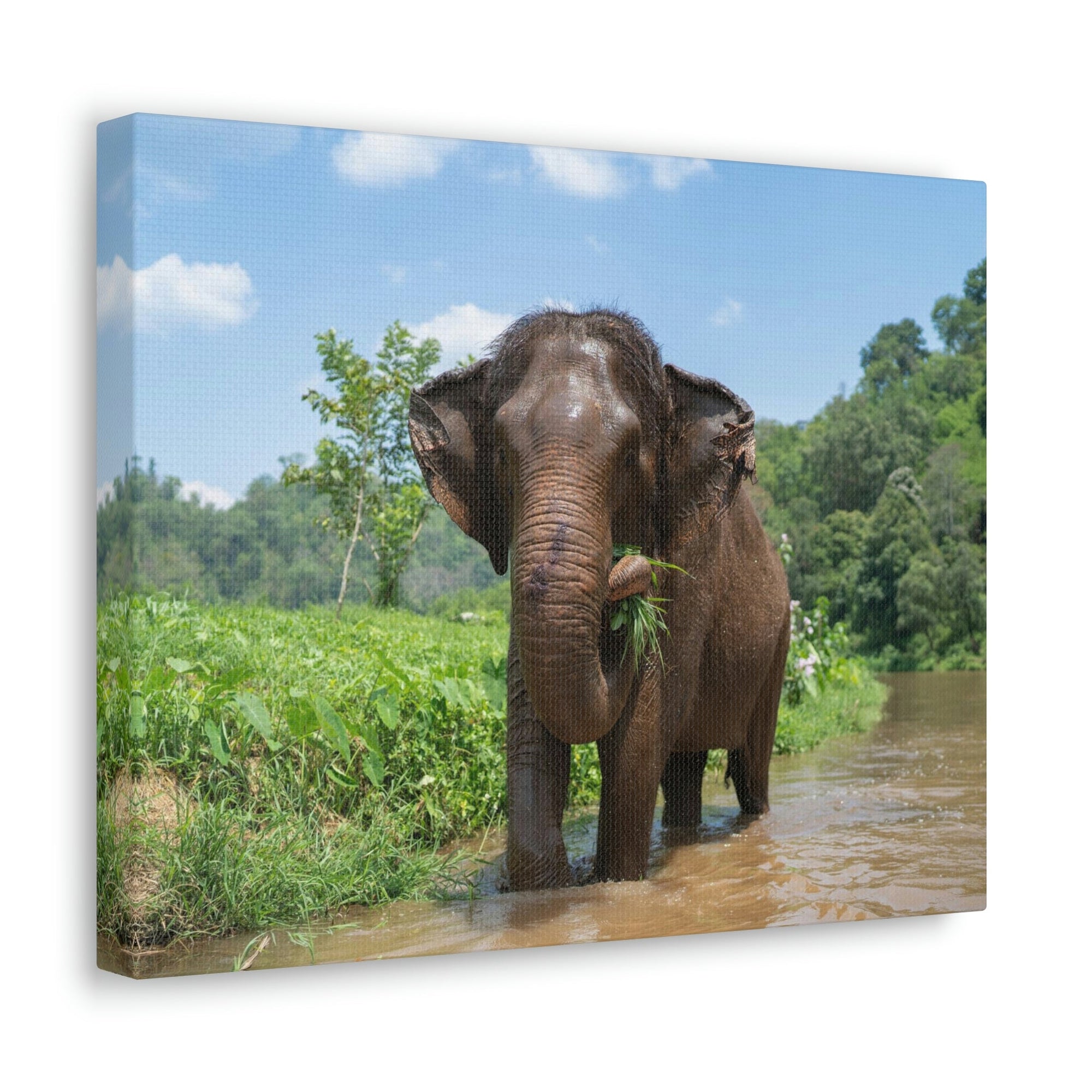 Scripture Walls Hunting Asian Elephant on River Print Animal Wall Art Wildlife Canvas Prints Wall Art Ready to Hang Unframed-Express Your Love Gifts