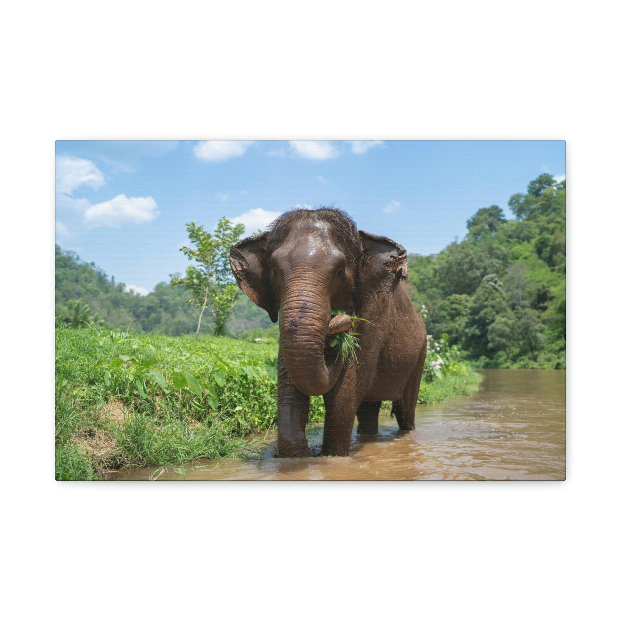 Scripture Walls Hunting Asian Elephant on River Print Animal Wall Art Wildlife Canvas Prints Wall Art Ready to Hang Unframed-Express Your Love Gifts