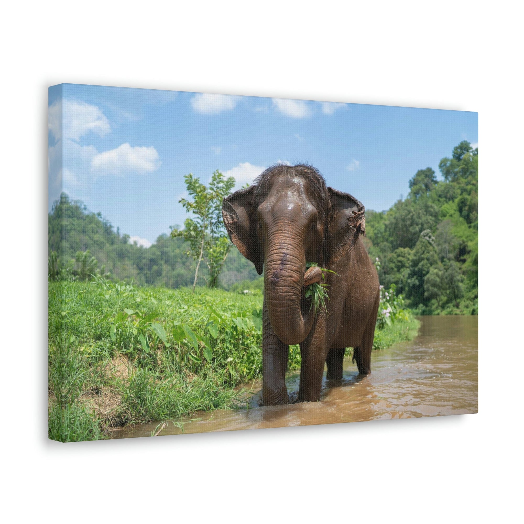 Scripture Walls Hunting Asian Elephant on River Print Animal Wall Art Wildlife Canvas Prints Wall Art Ready to Hang Unframed-Express Your Love Gifts