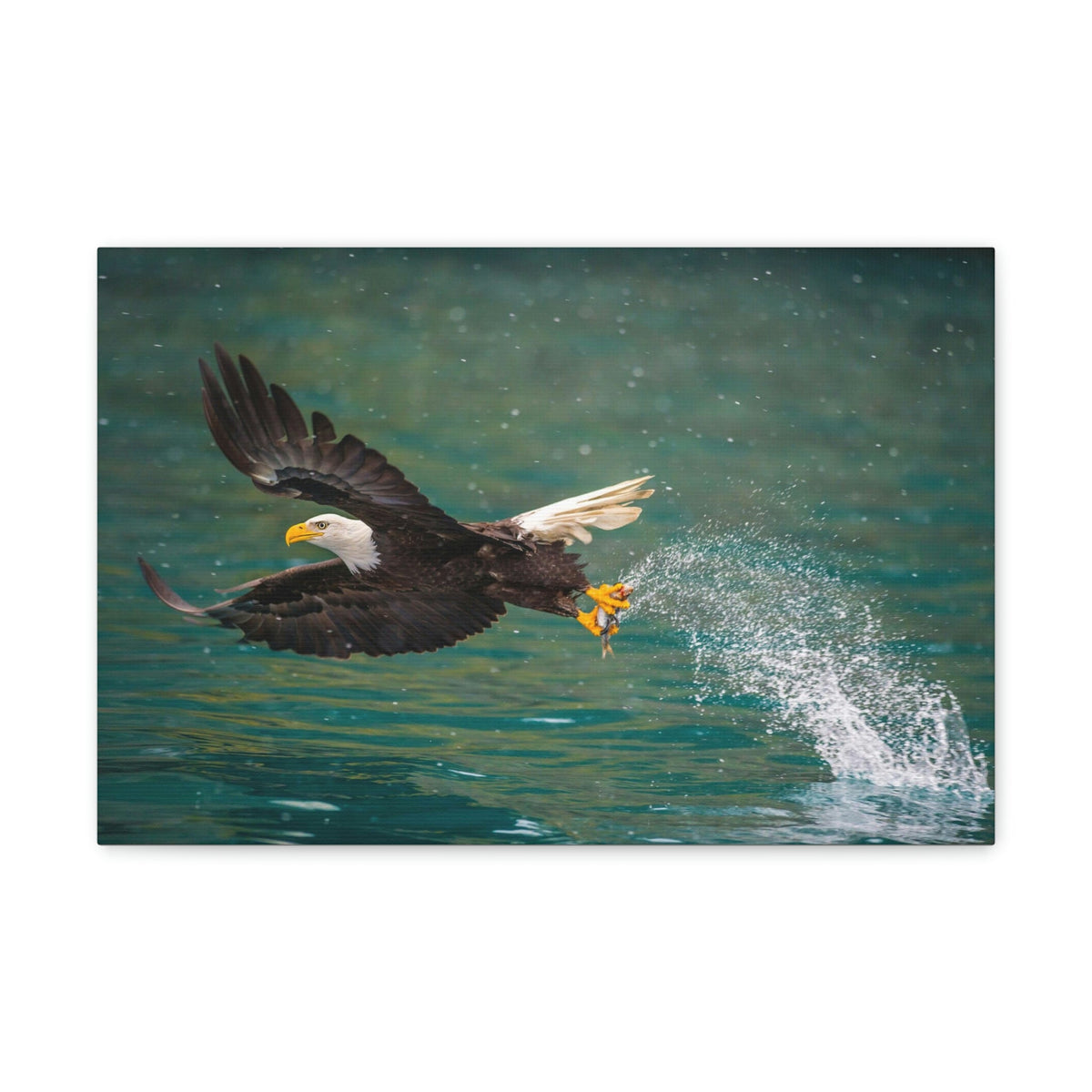 Scripture Walls Hunting Bald Eagle Swooping to Catch Fish Print Animal Wall Art Wildlife Canvas Prints Wall Art Ready to Hang Unframed-Express Your Love Gifts