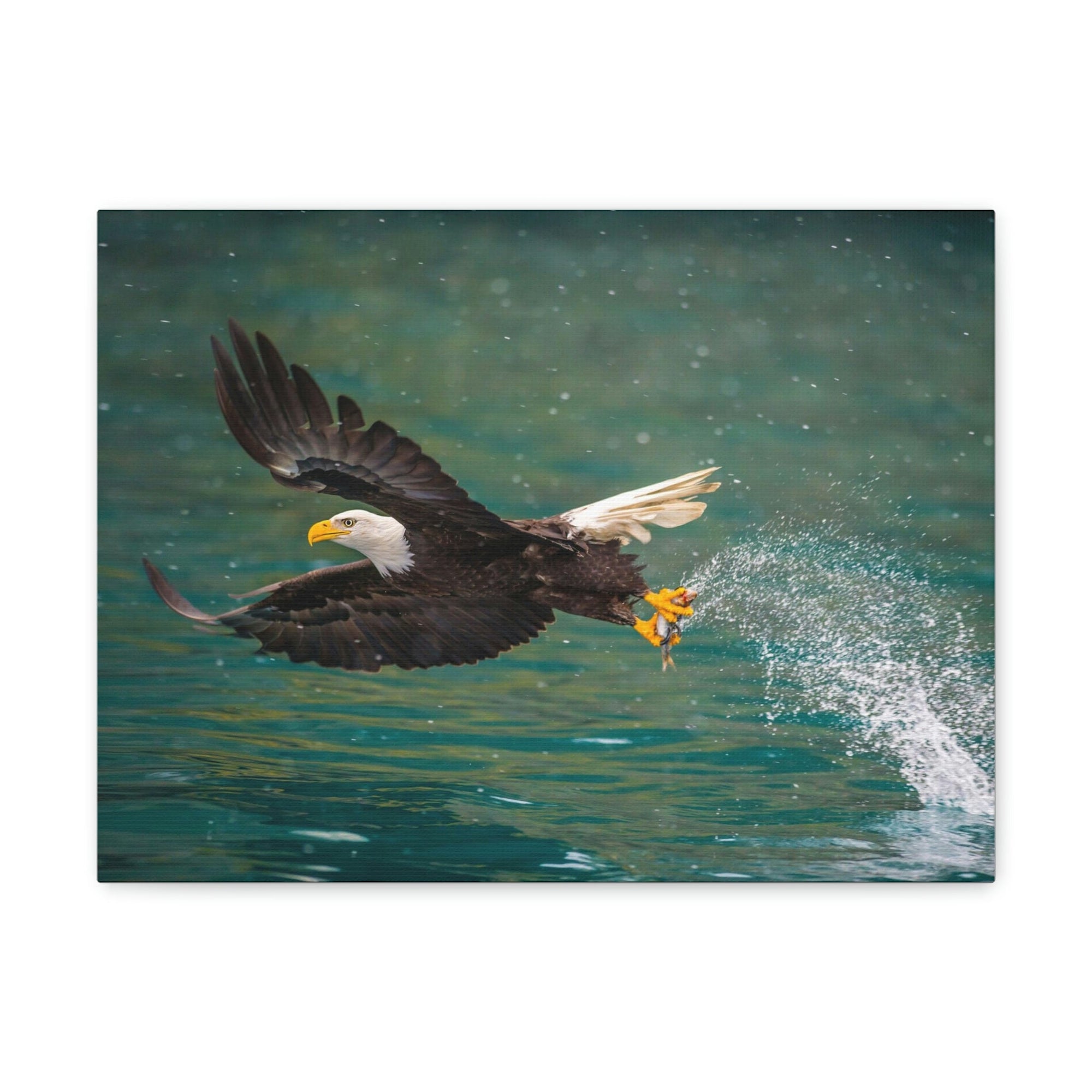 Scripture Walls Hunting Bald Eagle Swooping to Catch Fish Print Animal Wall Art Wildlife Canvas Prints Wall Art Ready to Hang Unframed-Express Your Love Gifts