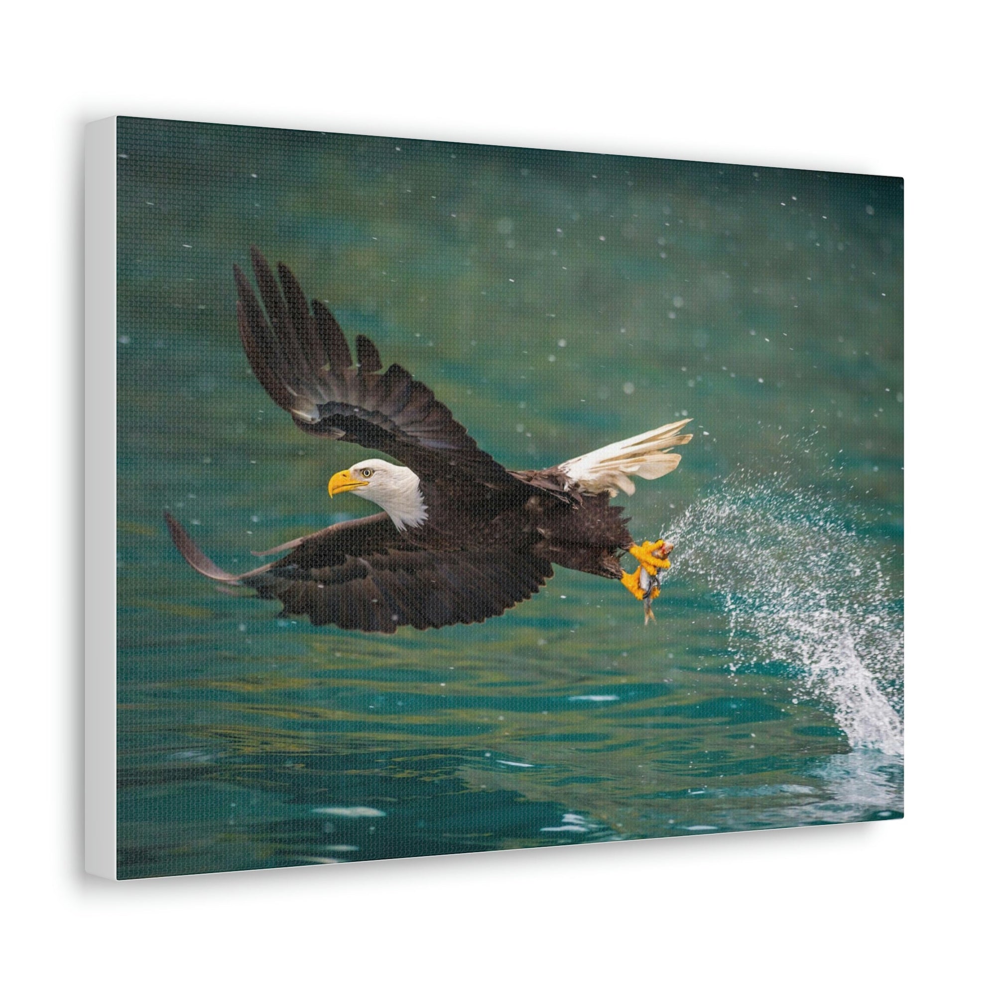 Scripture Walls Hunting Bald Eagle Swooping to Catch Fish Print Animal Wall Art Wildlife Canvas Prints Wall Art Ready to Hang Unframed-Express Your Love Gifts