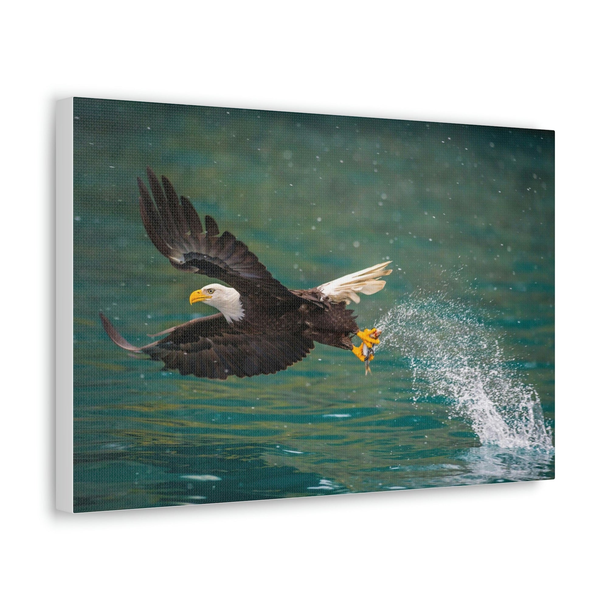 Scripture Walls Hunting Bald Eagle Swooping to Catch Fish Print Animal Wall Art Wildlife Canvas Prints Wall Art Ready to Hang Unframed-Express Your Love Gifts