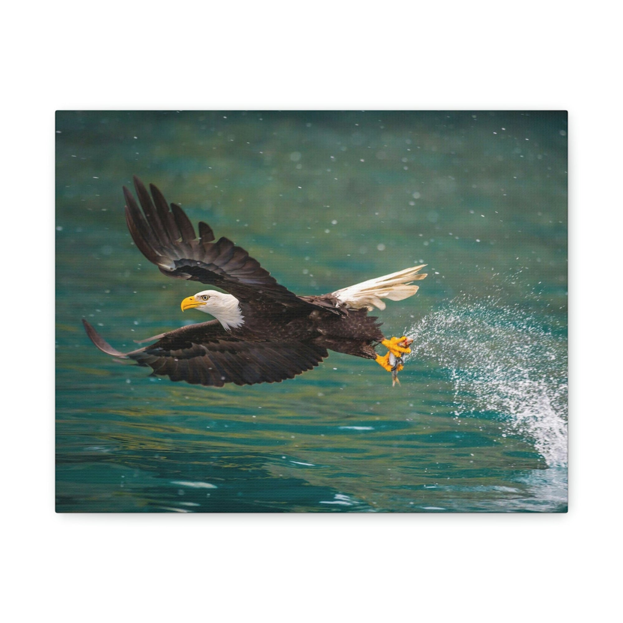 Scripture Walls Hunting Bald Eagle Swooping to Catch Fish Print Animal Wall Art Wildlife Canvas Prints Wall Art Ready to Hang Unframed-Express Your Love Gifts