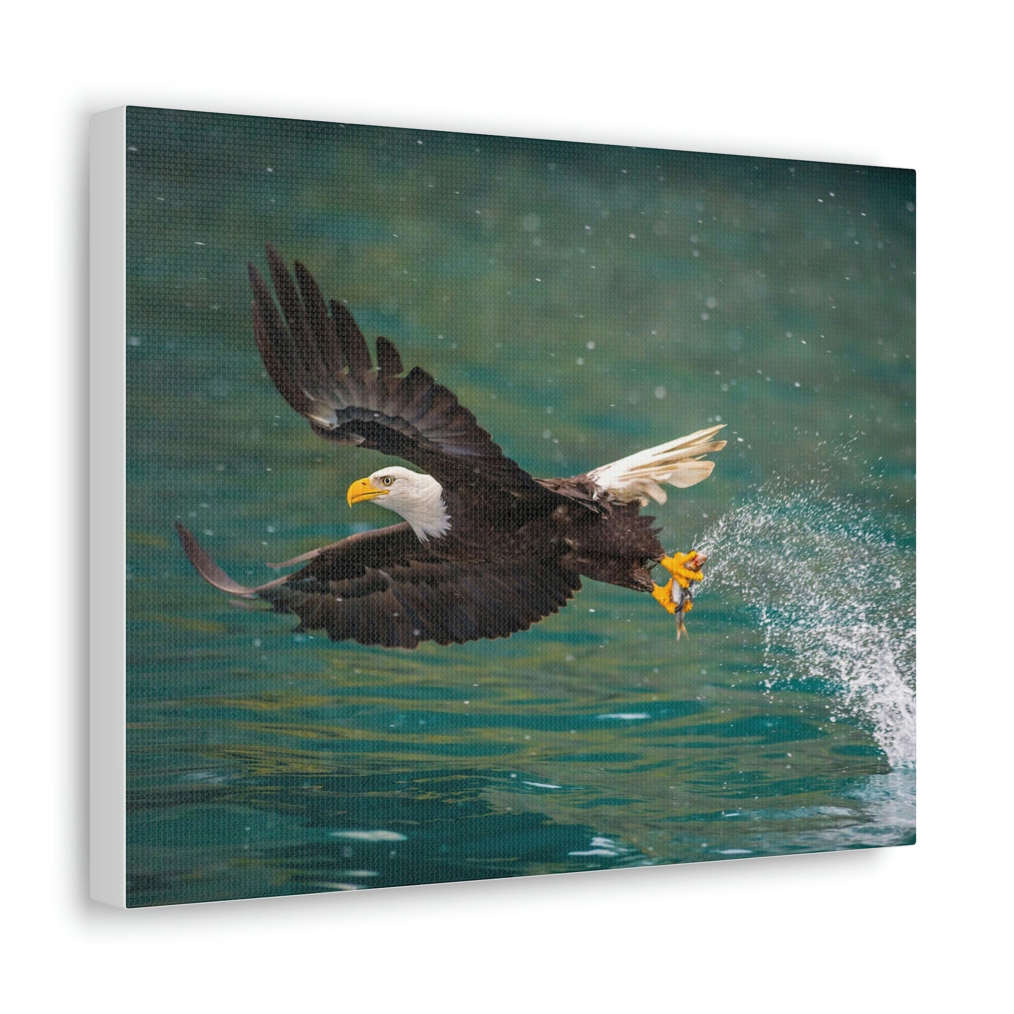 Scripture Walls Hunting Bald Eagle Swooping to Catch Fish Print Animal Wall Art Wildlife Canvas Prints Wall Art Ready to Hang Unframed-Express Your Love Gifts