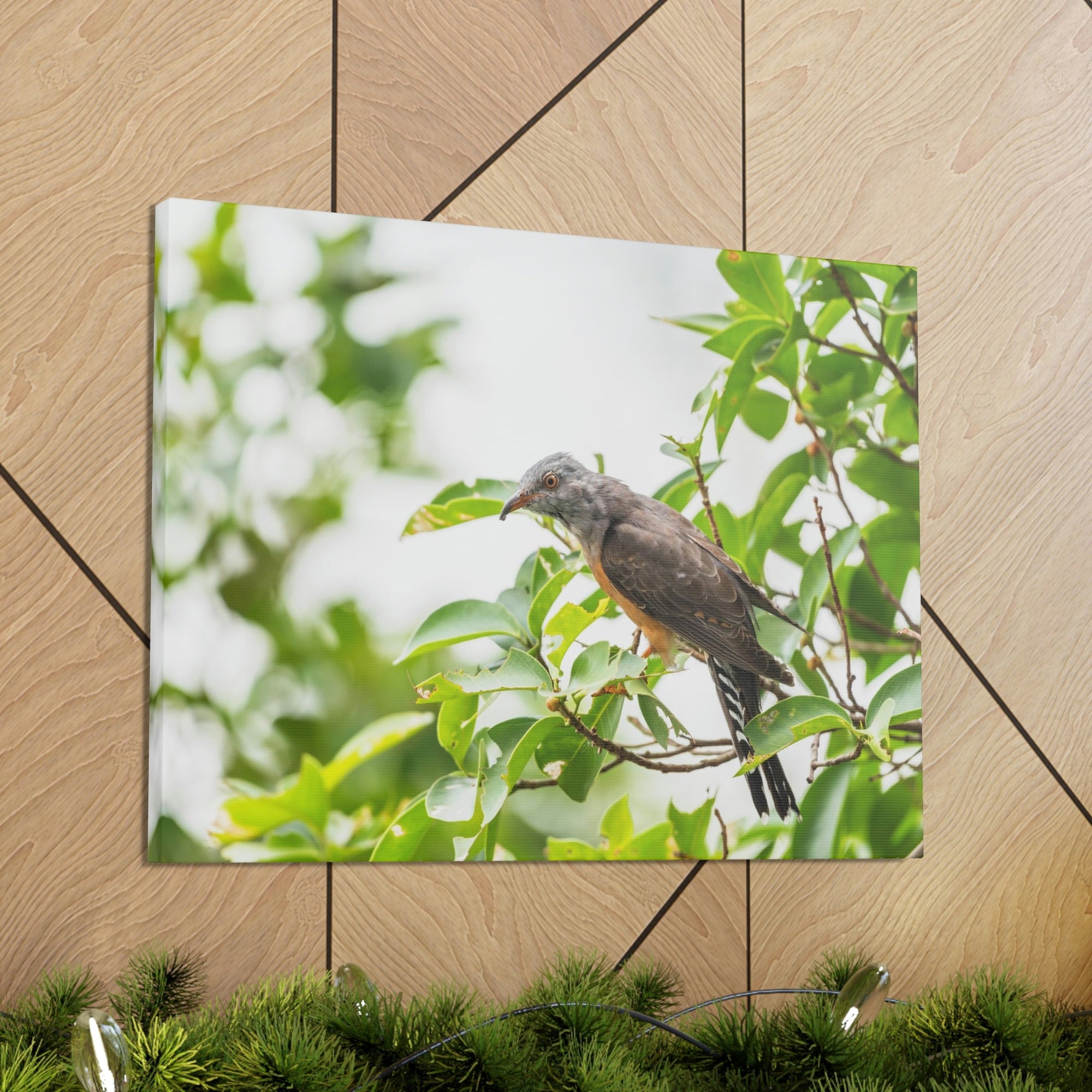 Scripture Walls Hunting Cuckoo Bird Print Animal Wall Art Wildlife Canvas Prints Wall Art Ready to Hang Unframed-Express Your Love Gifts