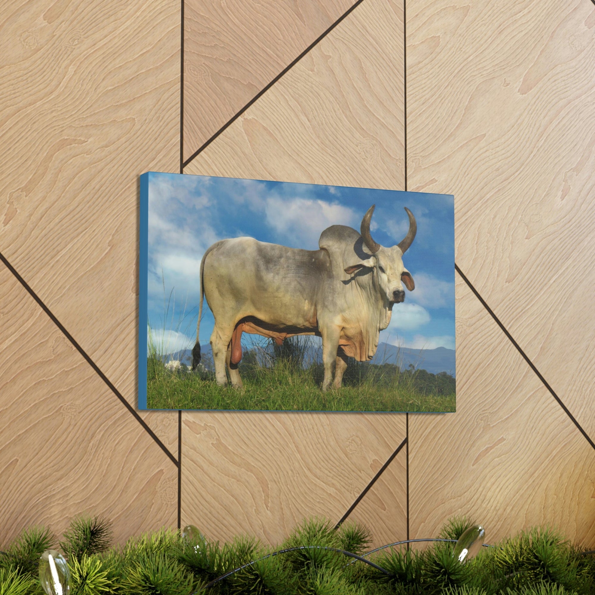 Scripture Walls Hunting Zebu Print Zebu Animal Wall Art Wildlife Canvas Prints Wall Art Ready to Hang Unframed-Express Your Love Gifts