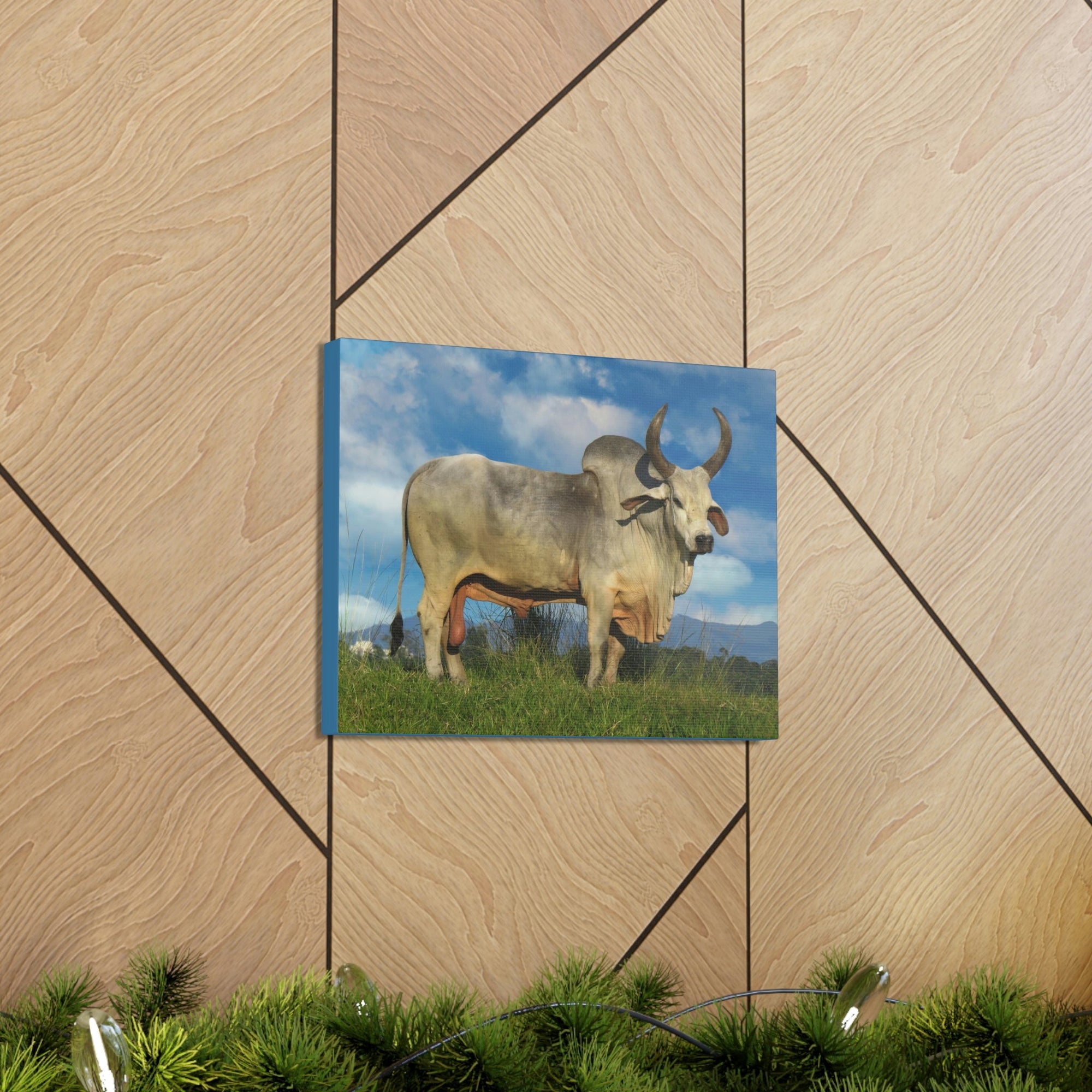 Scripture Walls Hunting Zebu Print Zebu Animal Wall Art Wildlife Canvas Prints Wall Art Ready to Hang Unframed-Express Your Love Gifts