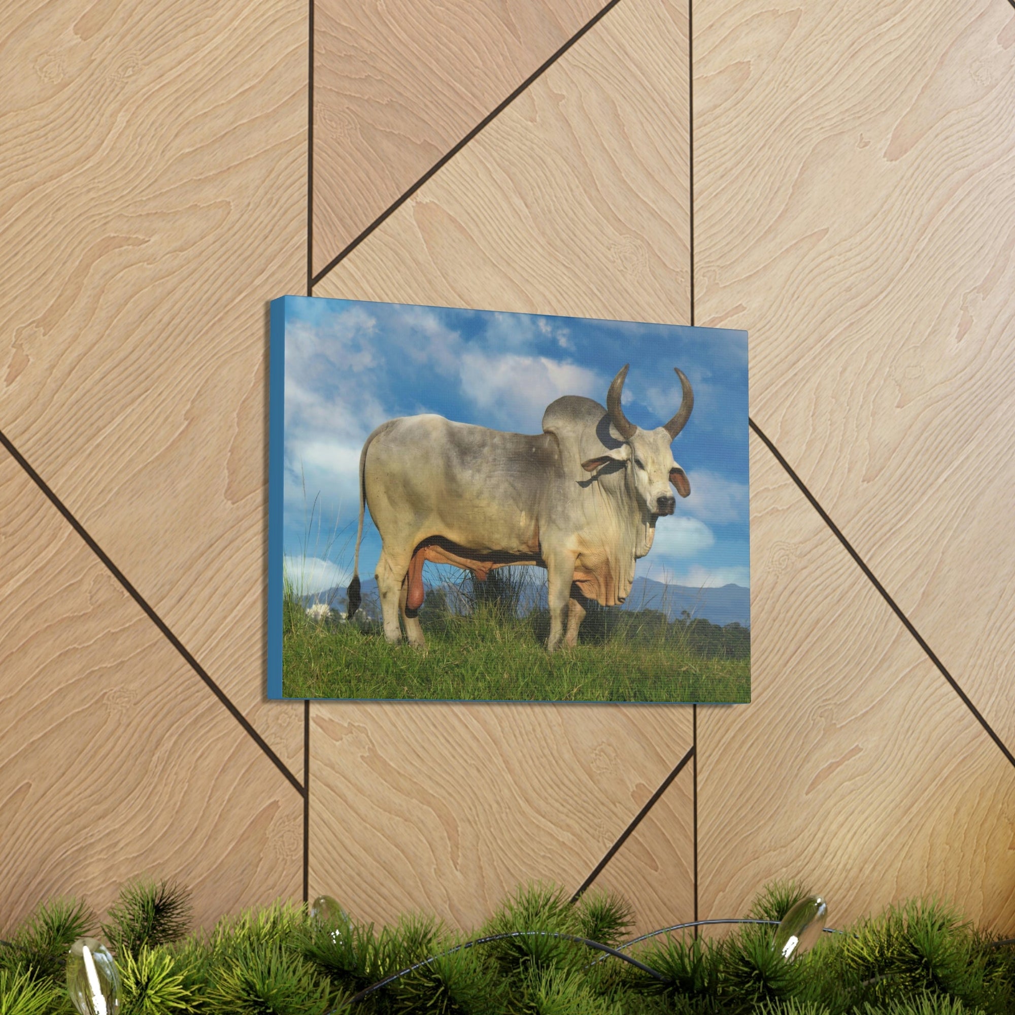 Scripture Walls Hunting Zebu Print Zebu Animal Wall Art Wildlife Canvas Prints Wall Art Ready to Hang Unframed-Express Your Love Gifts