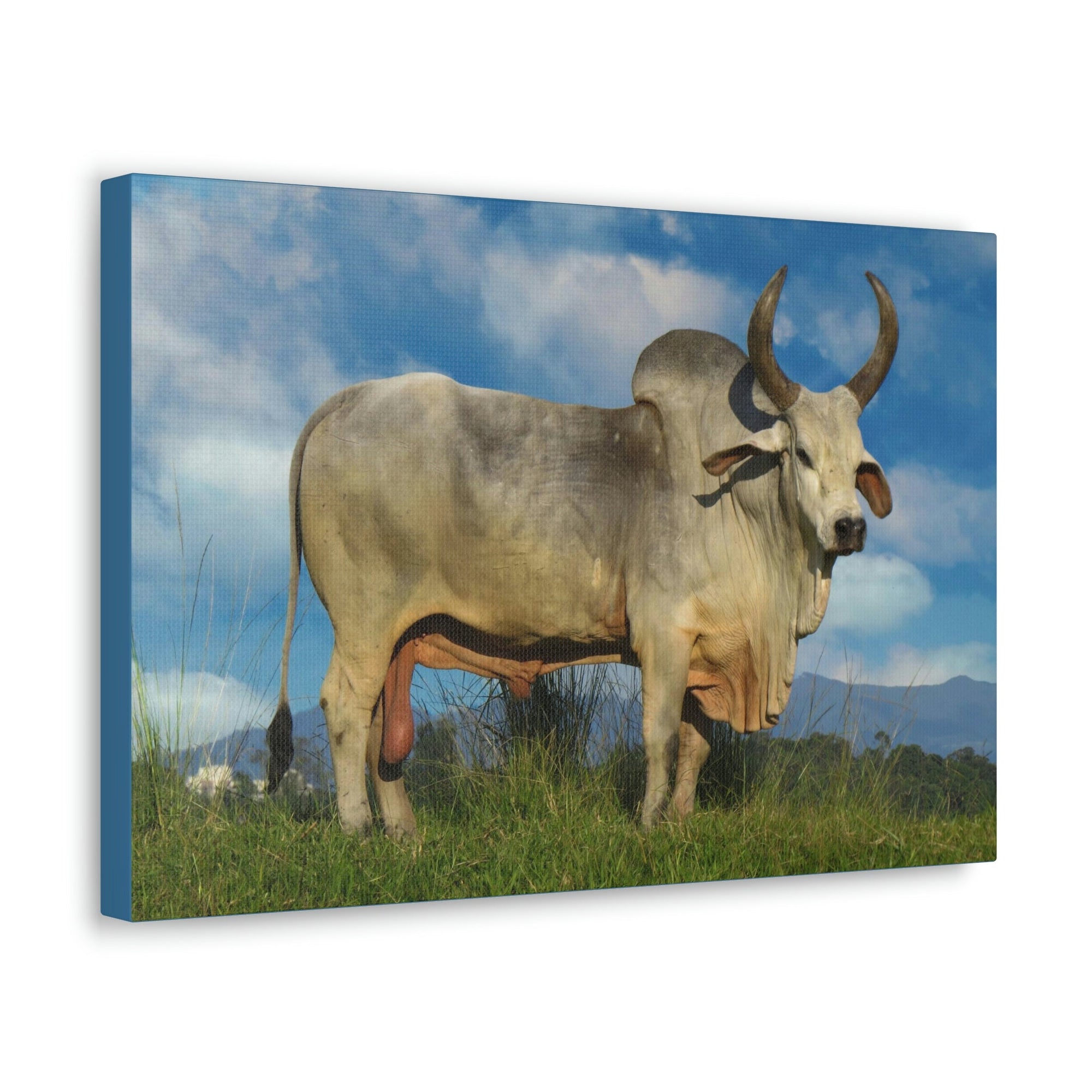 Scripture Walls Hunting Zebu Print Zebu Animal Wall Art Wildlife Canvas Prints Wall Art Ready to Hang Unframed-Express Your Love Gifts