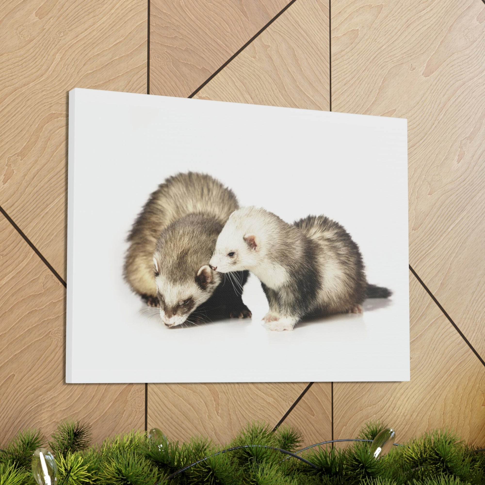 Scripture Walls Isolated Couple Badger Print Animal Wall Art Wildlife Canvas Prints Wall Art Ready to Hang Unframed-Express Your Love Gifts