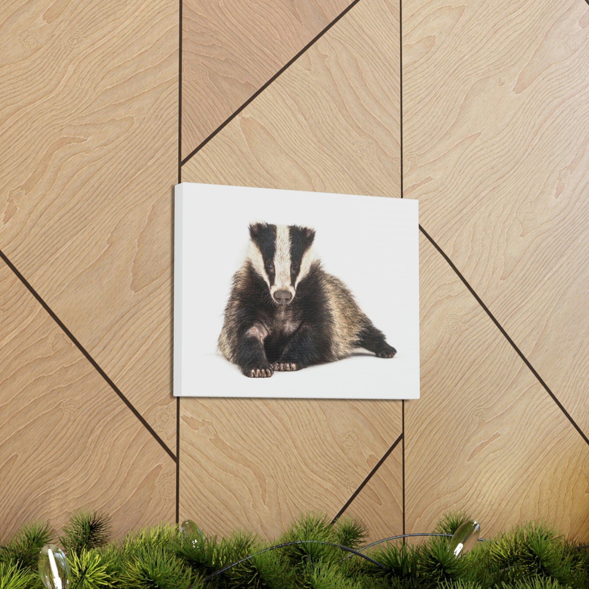 Scripture Walls Laying Down Badger Print Animal Wall Art Wildlife Canvas Prints Wall Art Ready to Hang Unframed-Express Your Love Gifts