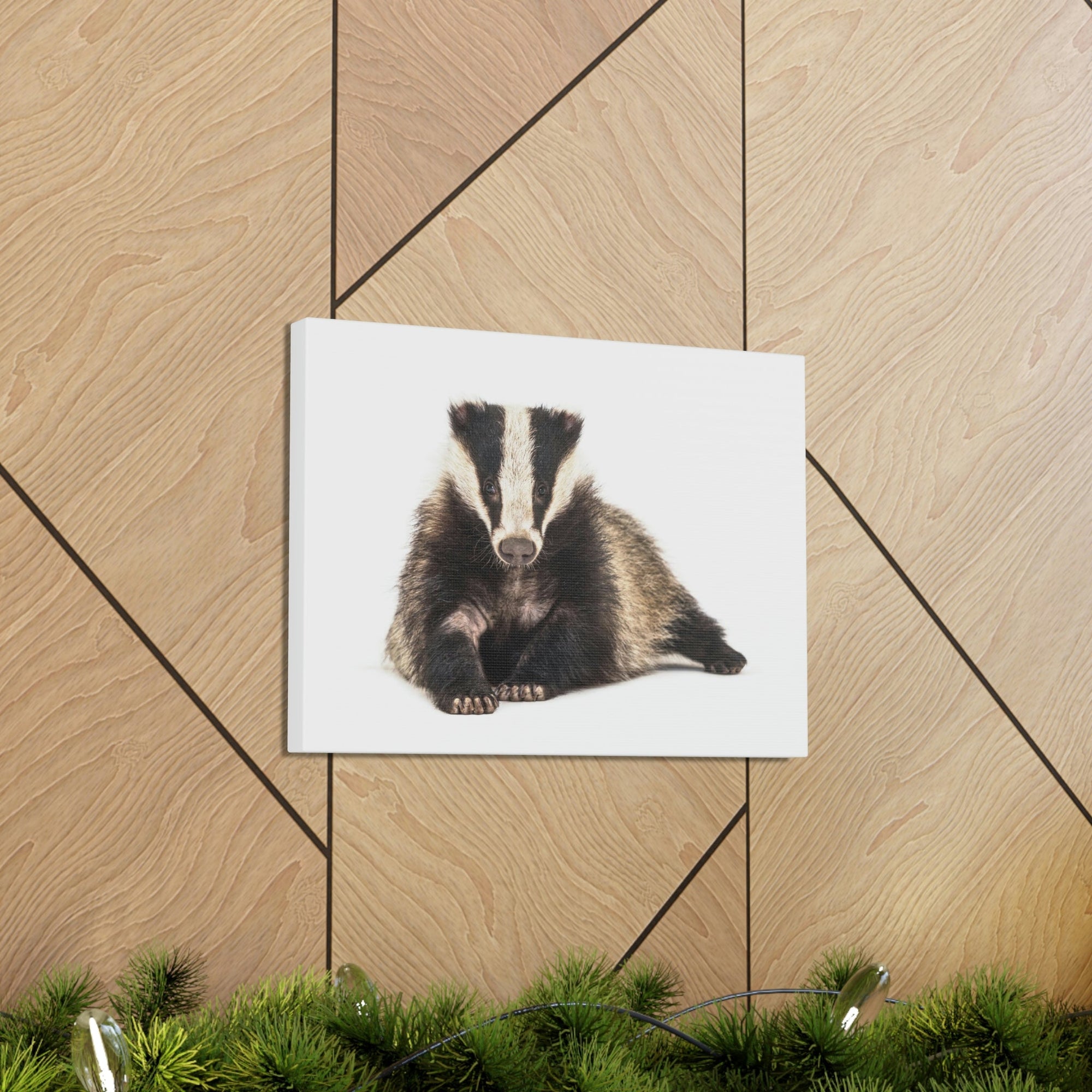 Scripture Walls Laying Down Badger Print Animal Wall Art Wildlife Canvas Prints Wall Art Ready to Hang Unframed-Express Your Love Gifts