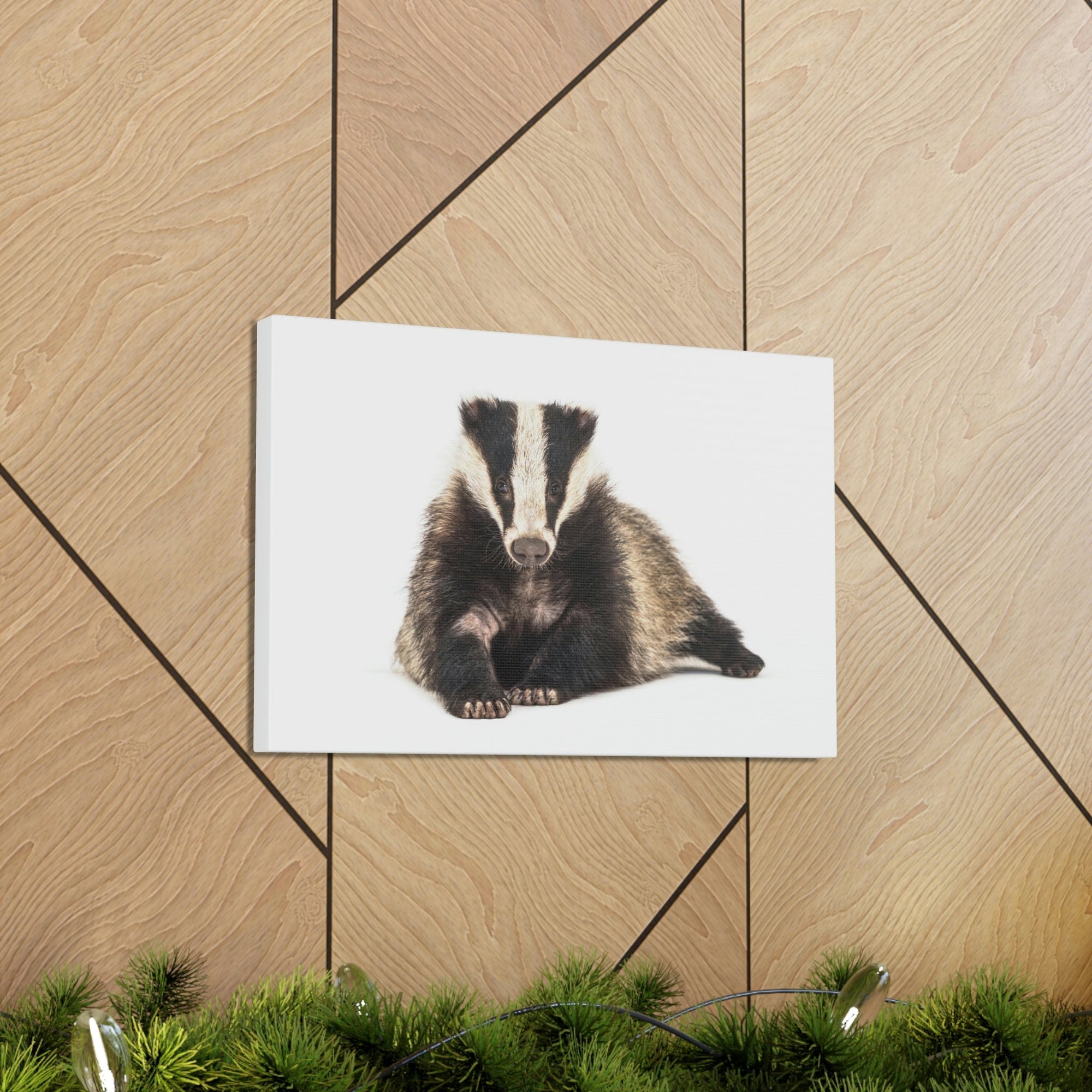 Scripture Walls Laying Down Badger Print Animal Wall Art Wildlife Canvas Prints Wall Art Ready to Hang Unframed-Express Your Love Gifts