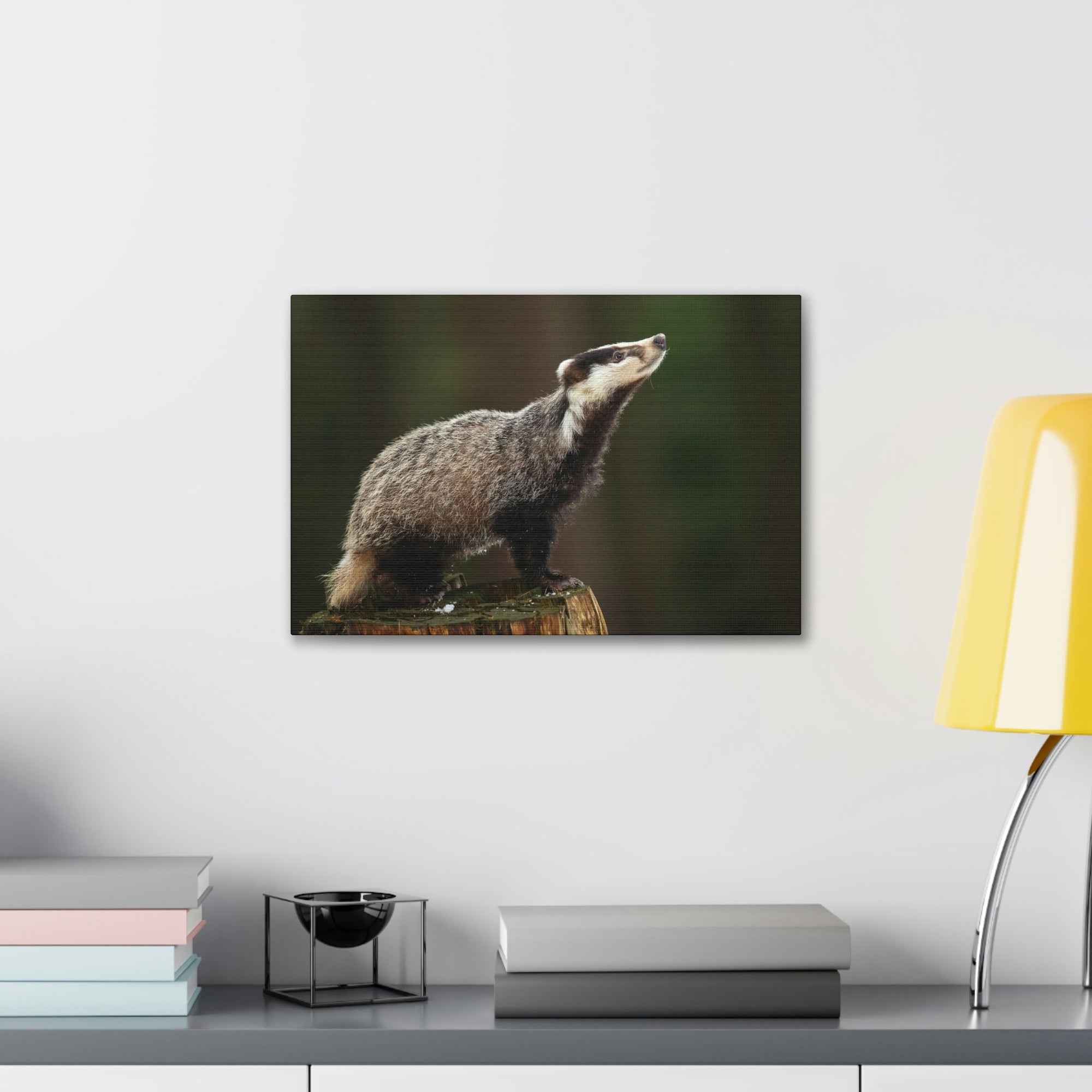 Scripture Walls Lookin Up Badger Print Animal Wall Art Wildlife Canvas Prints Wall Art Ready to Hang Unframed-Express Your Love Gifts