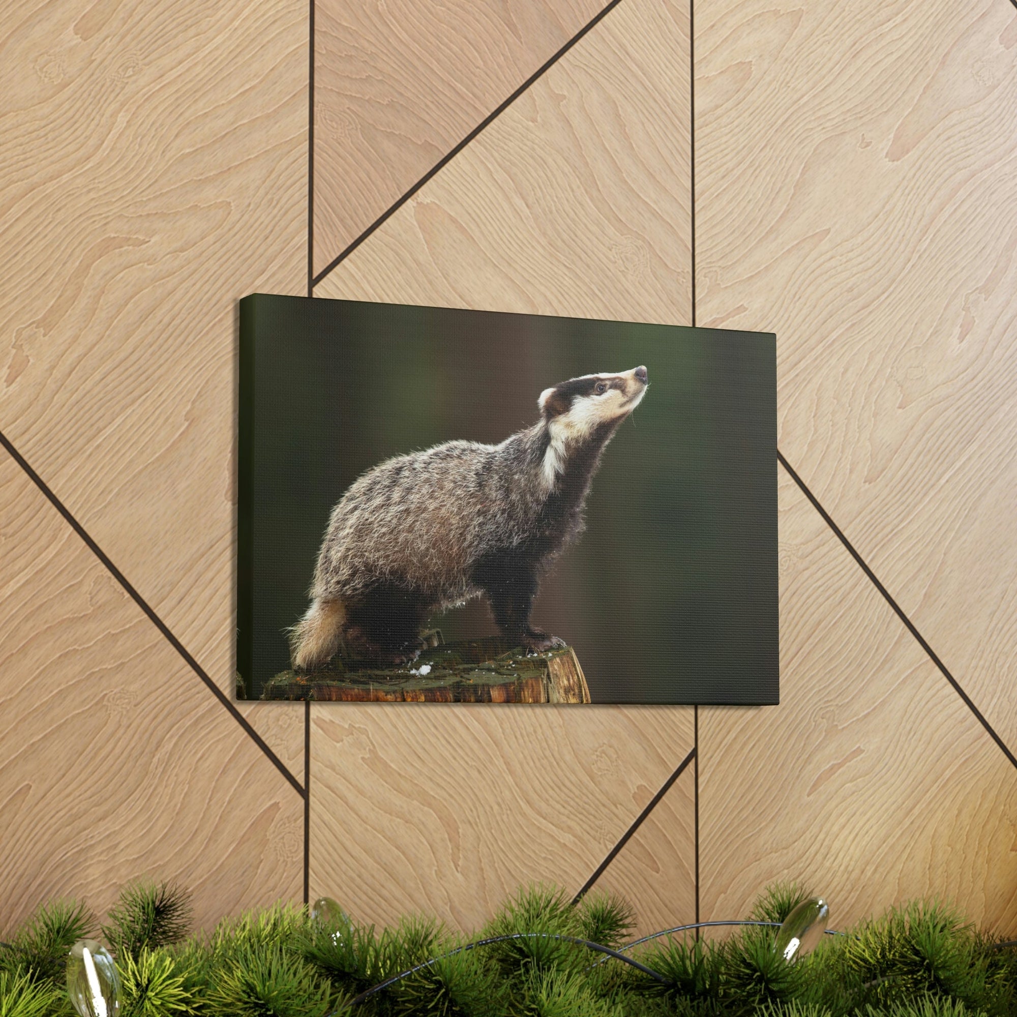 Scripture Walls Lookin Up Badger Print Animal Wall Art Wildlife Canvas Prints Wall Art Ready to Hang Unframed-Express Your Love Gifts