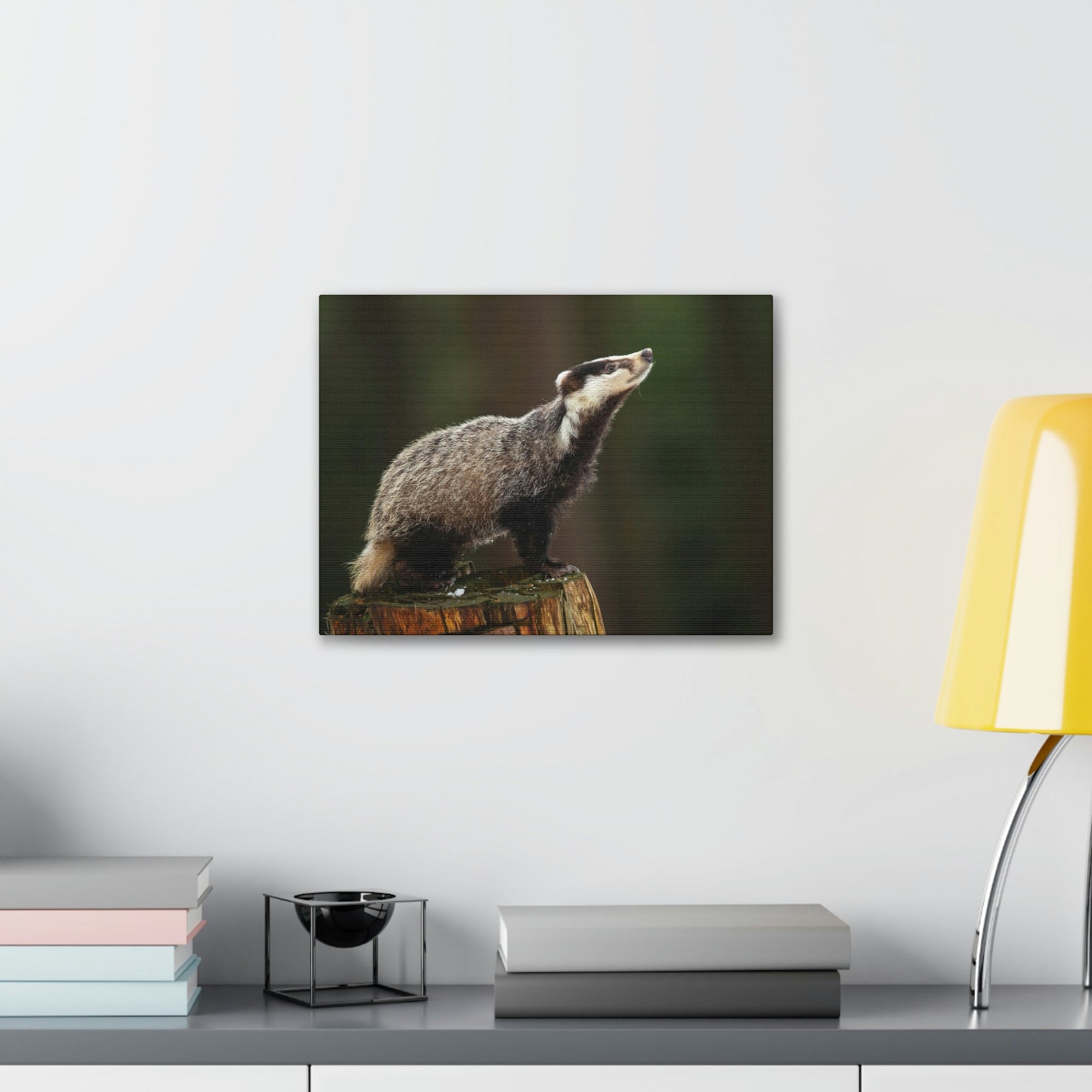 Scripture Walls Lookin Up Badger Print Animal Wall Art Wildlife Canvas Prints Wall Art Ready to Hang Unframed-Express Your Love Gifts