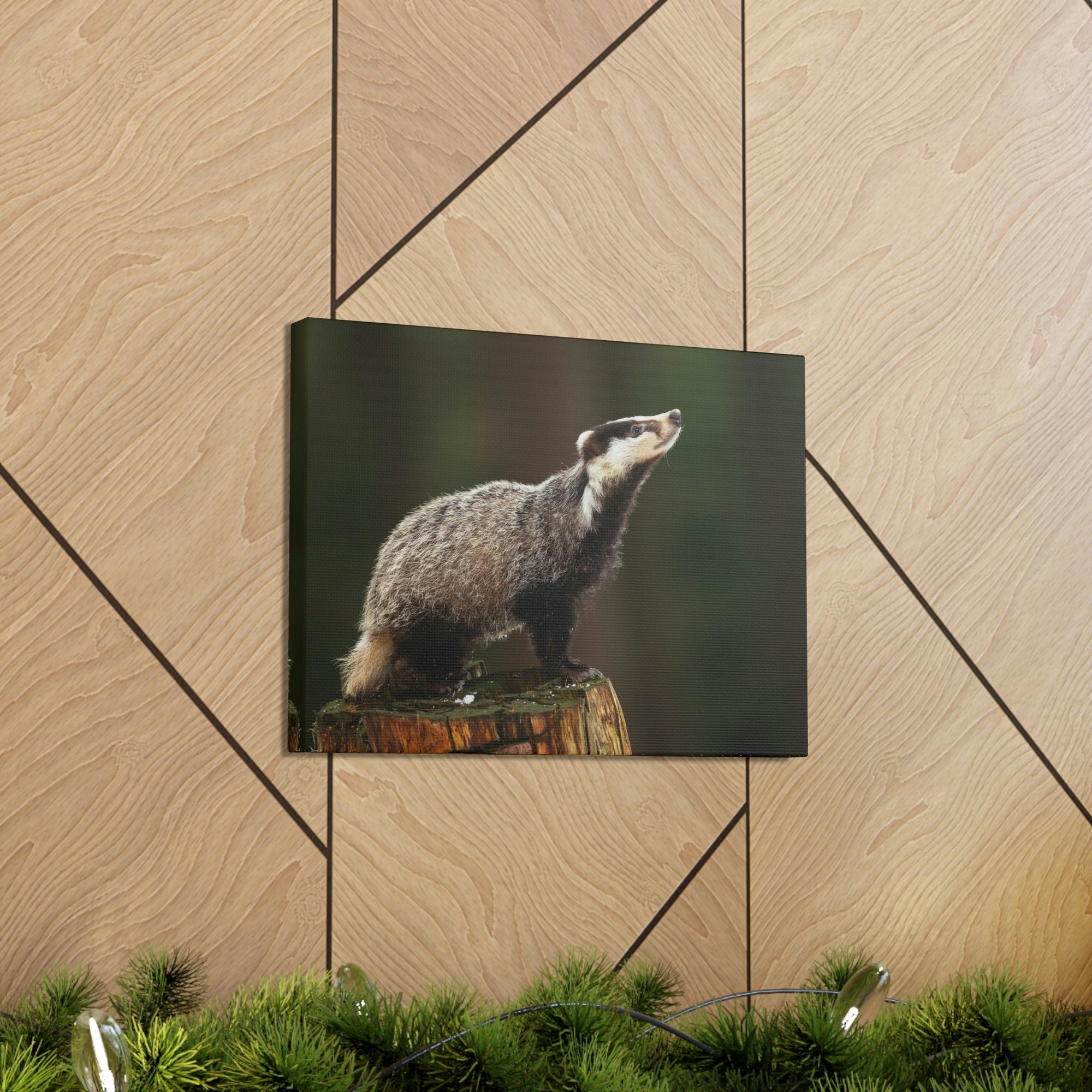 Scripture Walls Lookin Up Badger Print Animal Wall Art Wildlife Canvas Prints Wall Art Ready to Hang Unframed-Express Your Love Gifts