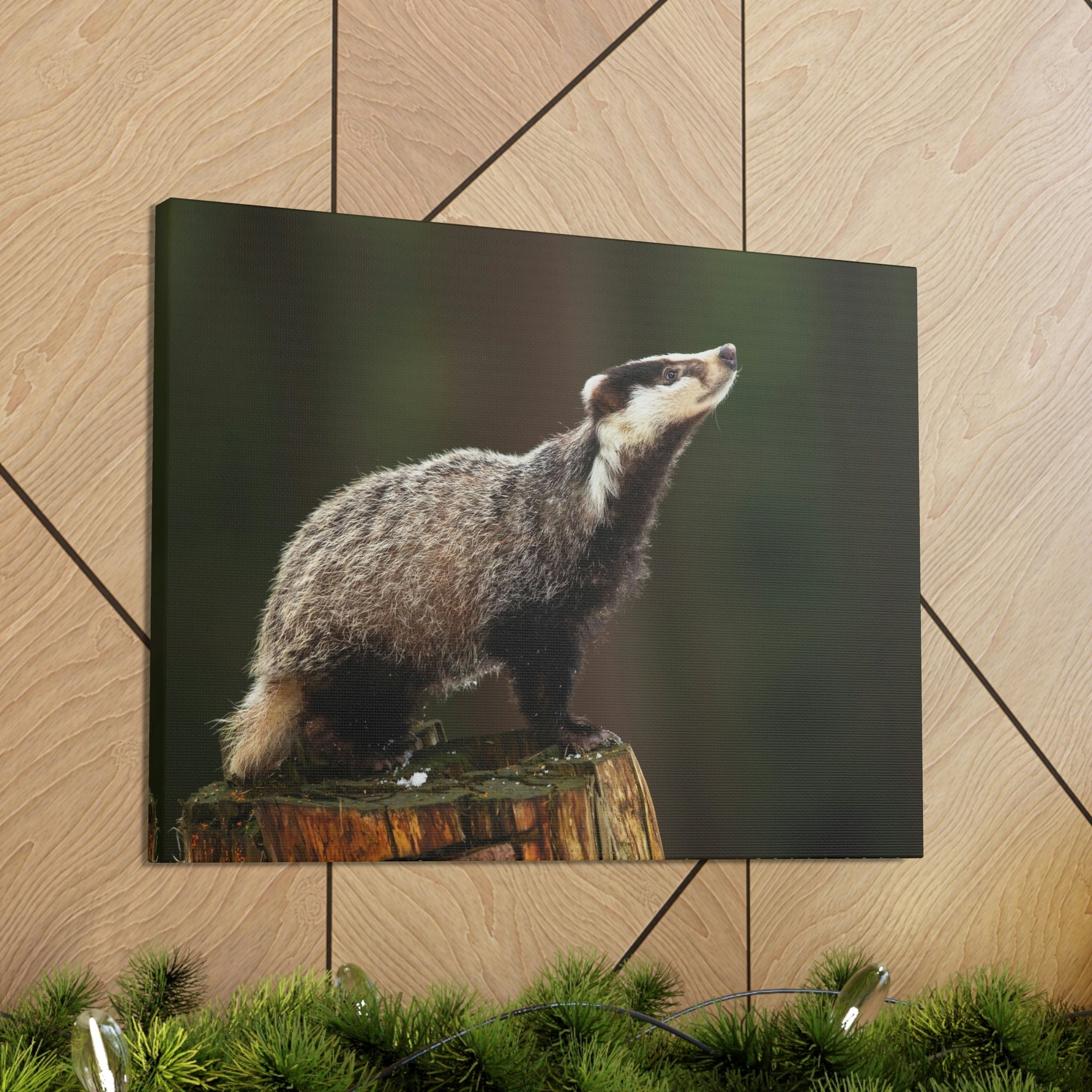 Scripture Walls Lookin Up Badger Print Animal Wall Art Wildlife Canvas Prints Wall Art Ready to Hang Unframed-Express Your Love Gifts