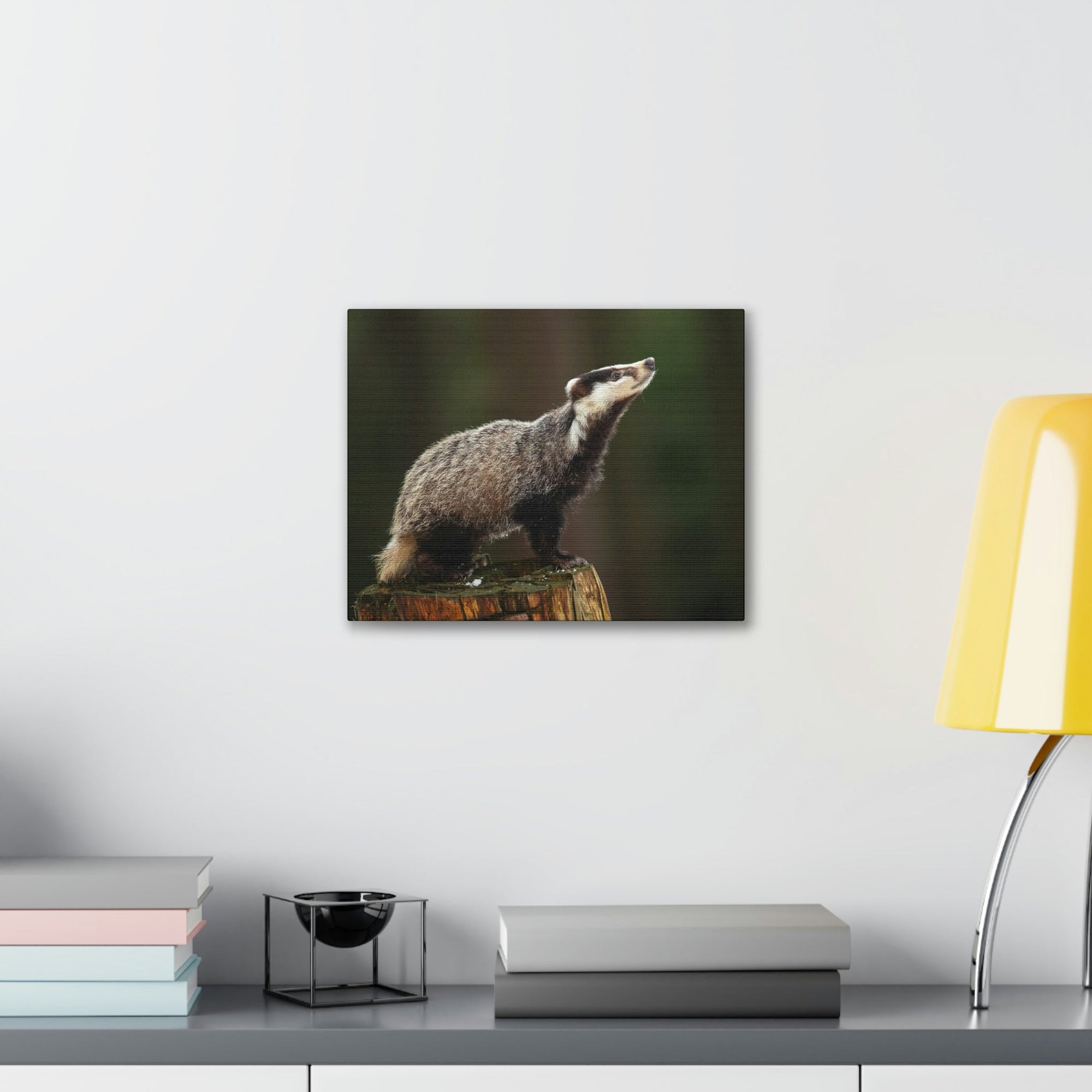 Scripture Walls Lookin Up Badger Print Animal Wall Art Wildlife Canvas Prints Wall Art Ready to Hang Unframed-Express Your Love Gifts