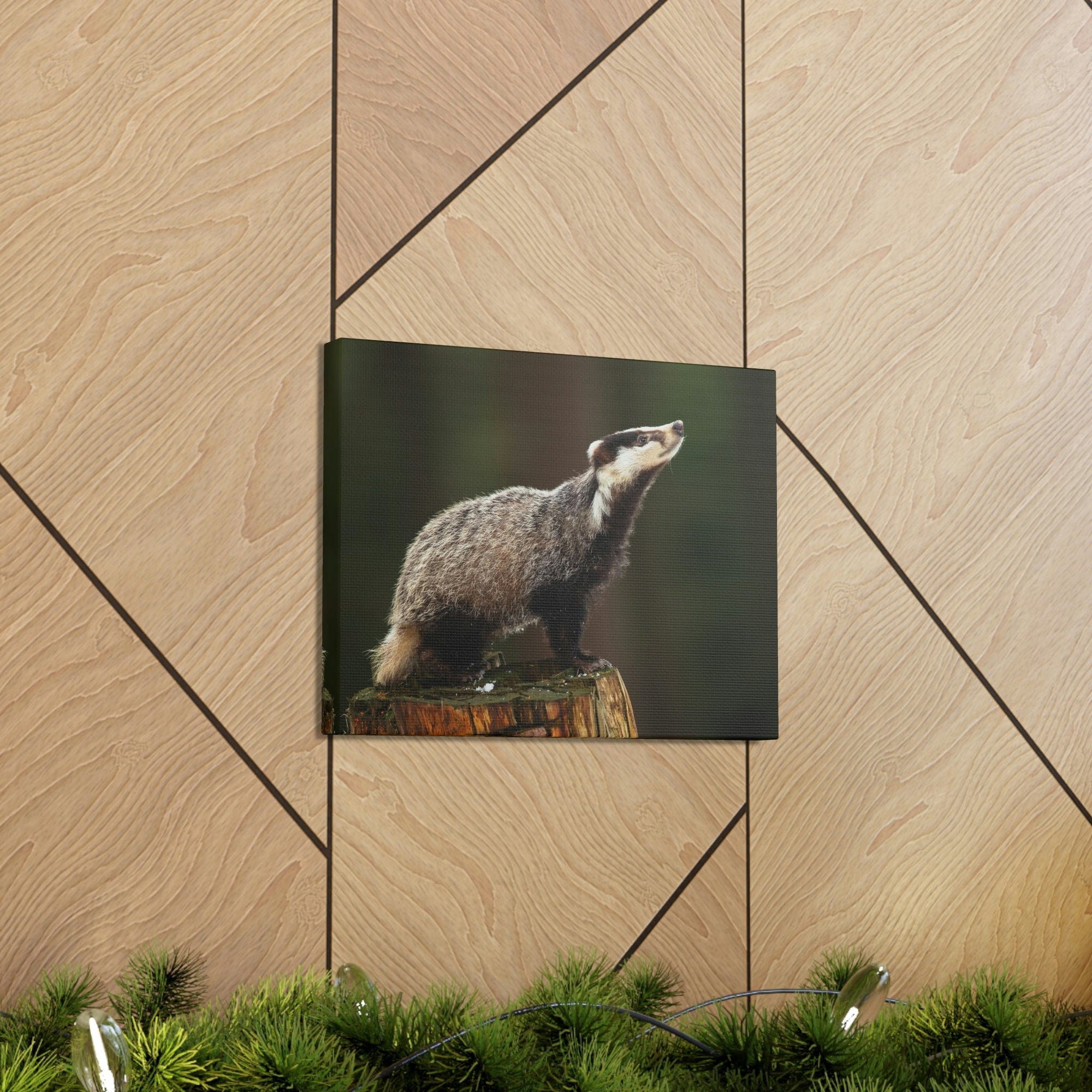 Scripture Walls Lookin Up Badger Print Animal Wall Art Wildlife Canvas Prints Wall Art Ready to Hang Unframed-Express Your Love Gifts