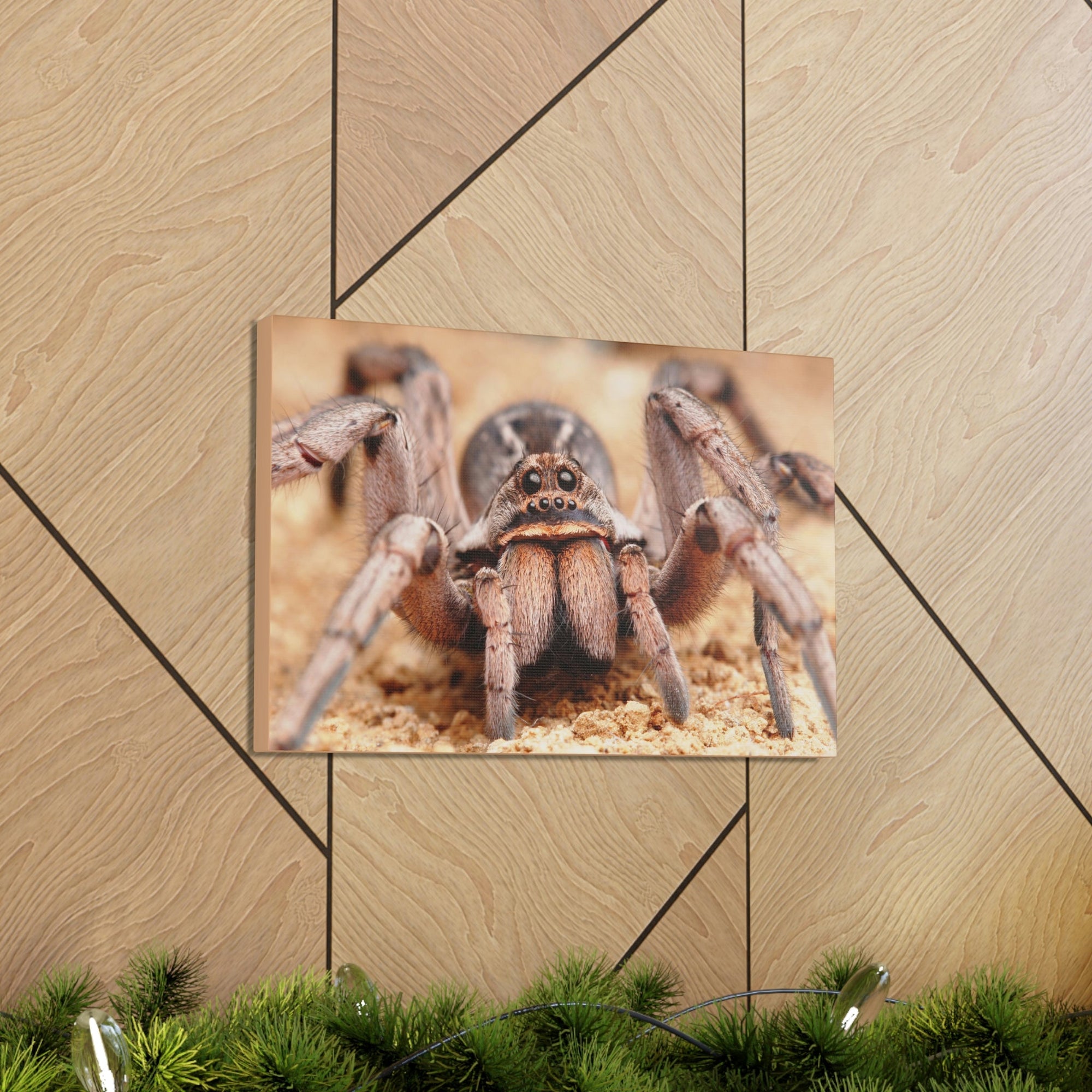 Scripture Walls Magnificent Looking Wolf Spider Print Animal Wall Art Wildlife Canvas Prints Wall Art Ready to Hang Unframed-Express Your Love Gifts