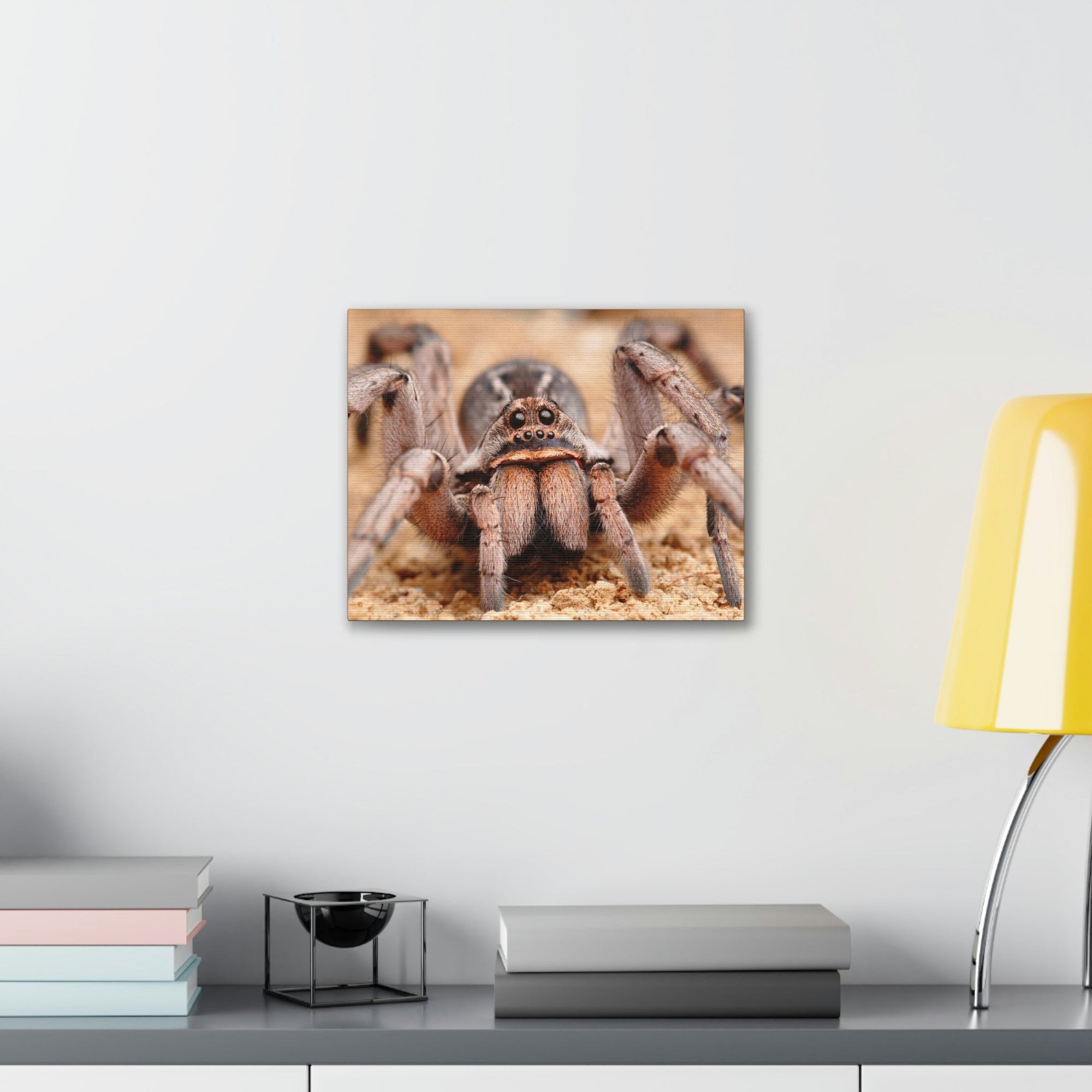 Scripture Walls Magnificent Looking Wolf Spider Print Animal Wall Art Wildlife Canvas Prints Wall Art Ready to Hang Unframed-Express Your Love Gifts