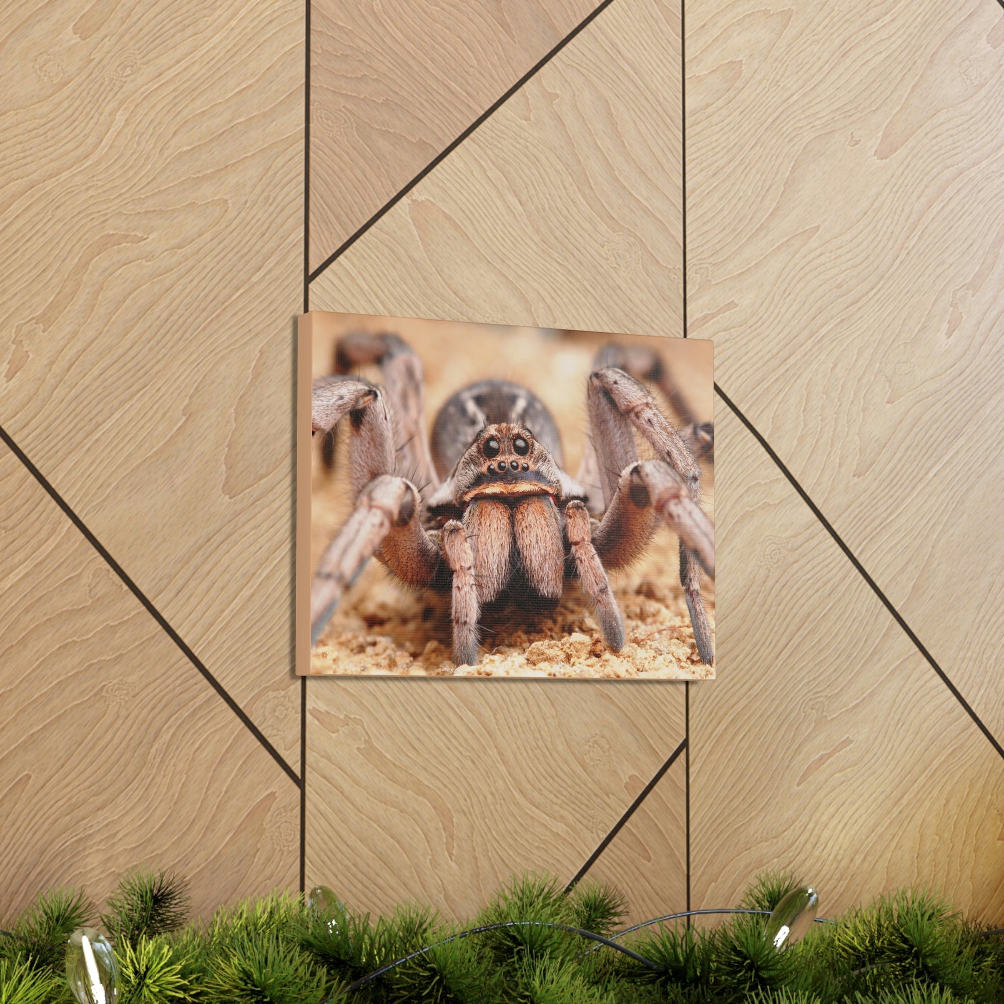 Scripture Walls Magnificent Looking Wolf Spider Print Animal Wall Art Wildlife Canvas Prints Wall Art Ready to Hang Unframed-Express Your Love Gifts