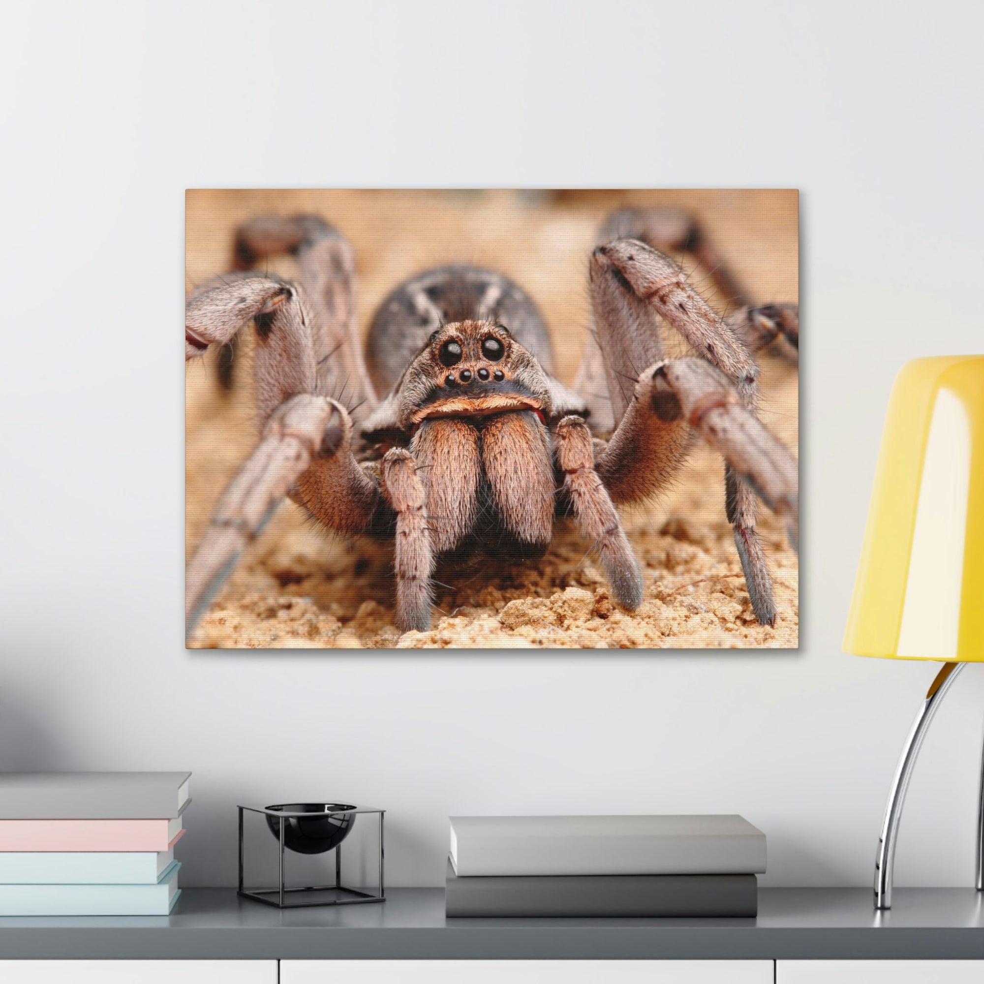 Scripture Walls Magnificent Looking Wolf Spider Print Animal Wall Art Wildlife Canvas Prints Wall Art Ready to Hang Unframed-Express Your Love Gifts