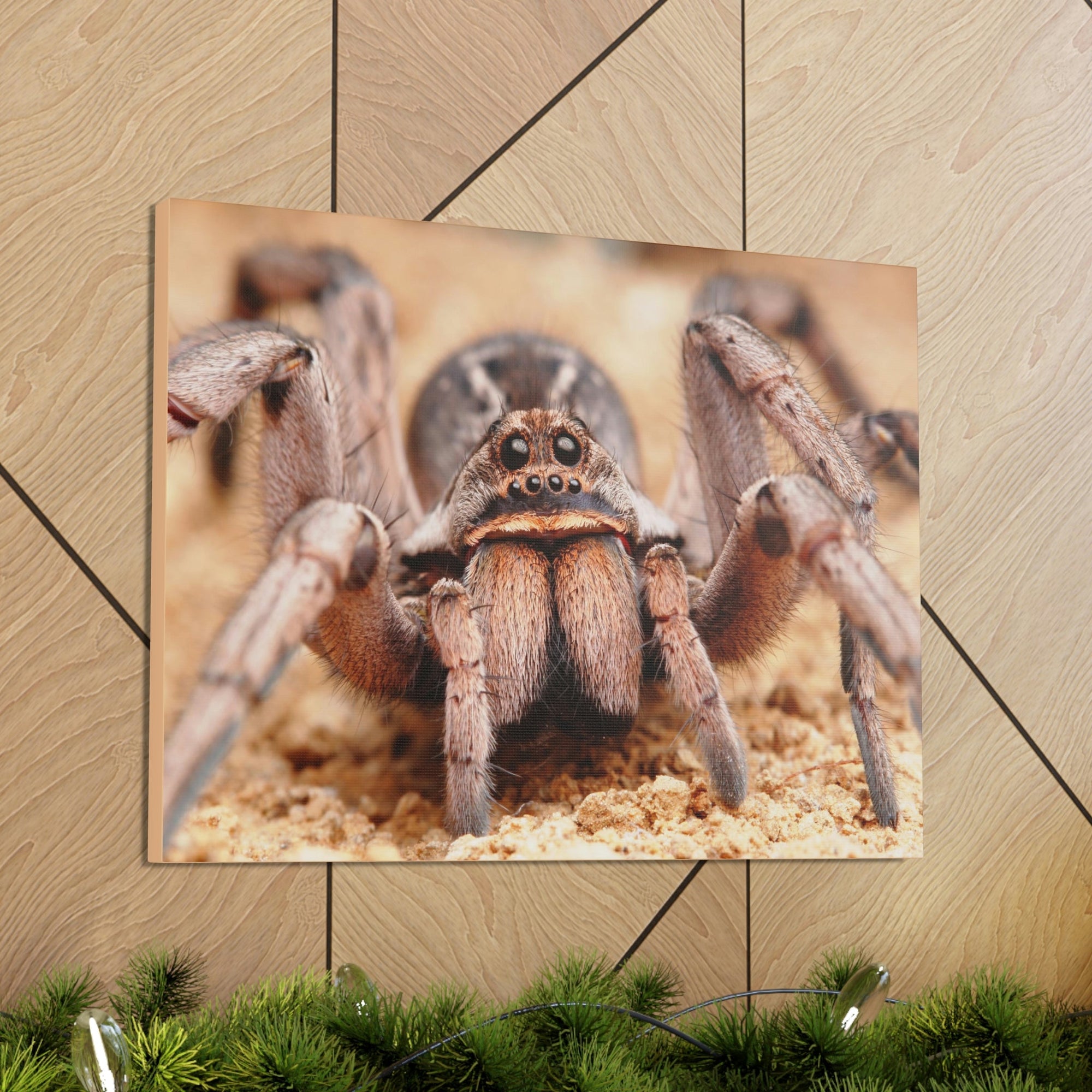 Scripture Walls Magnificent Looking Wolf Spider Print Animal Wall Art Wildlife Canvas Prints Wall Art Ready to Hang Unframed-Express Your Love Gifts