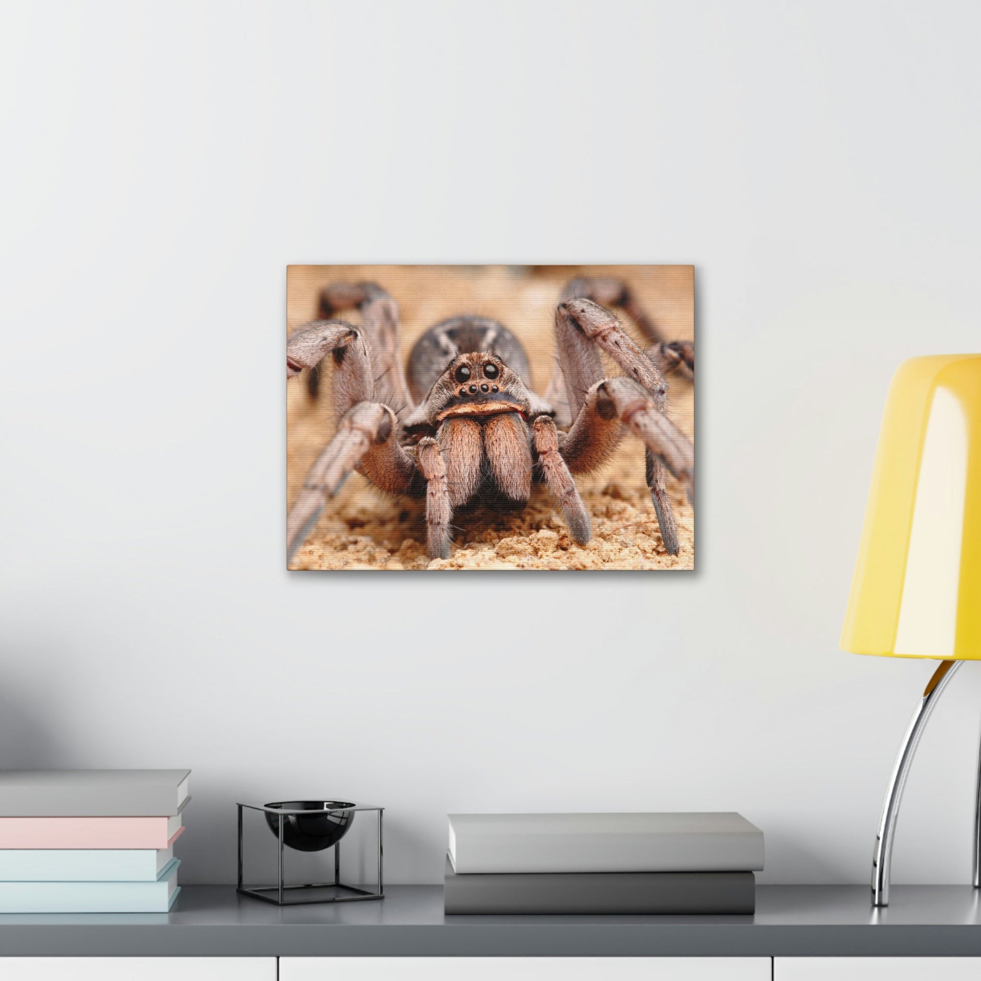 Scripture Walls Magnificent Looking Wolf Spider Print Animal Wall Art Wildlife Canvas Prints Wall Art Ready to Hang Unframed-Express Your Love Gifts