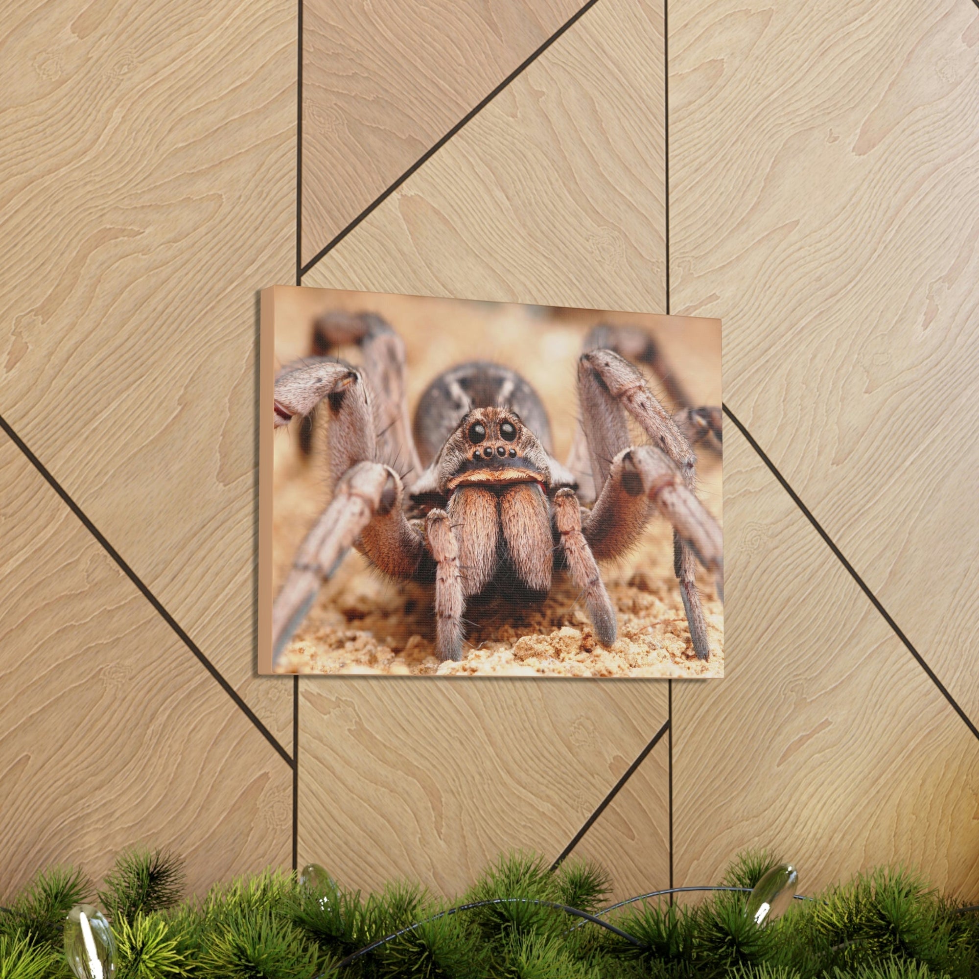 Scripture Walls Magnificent Looking Wolf Spider Print Animal Wall Art Wildlife Canvas Prints Wall Art Ready to Hang Unframed-Express Your Love Gifts