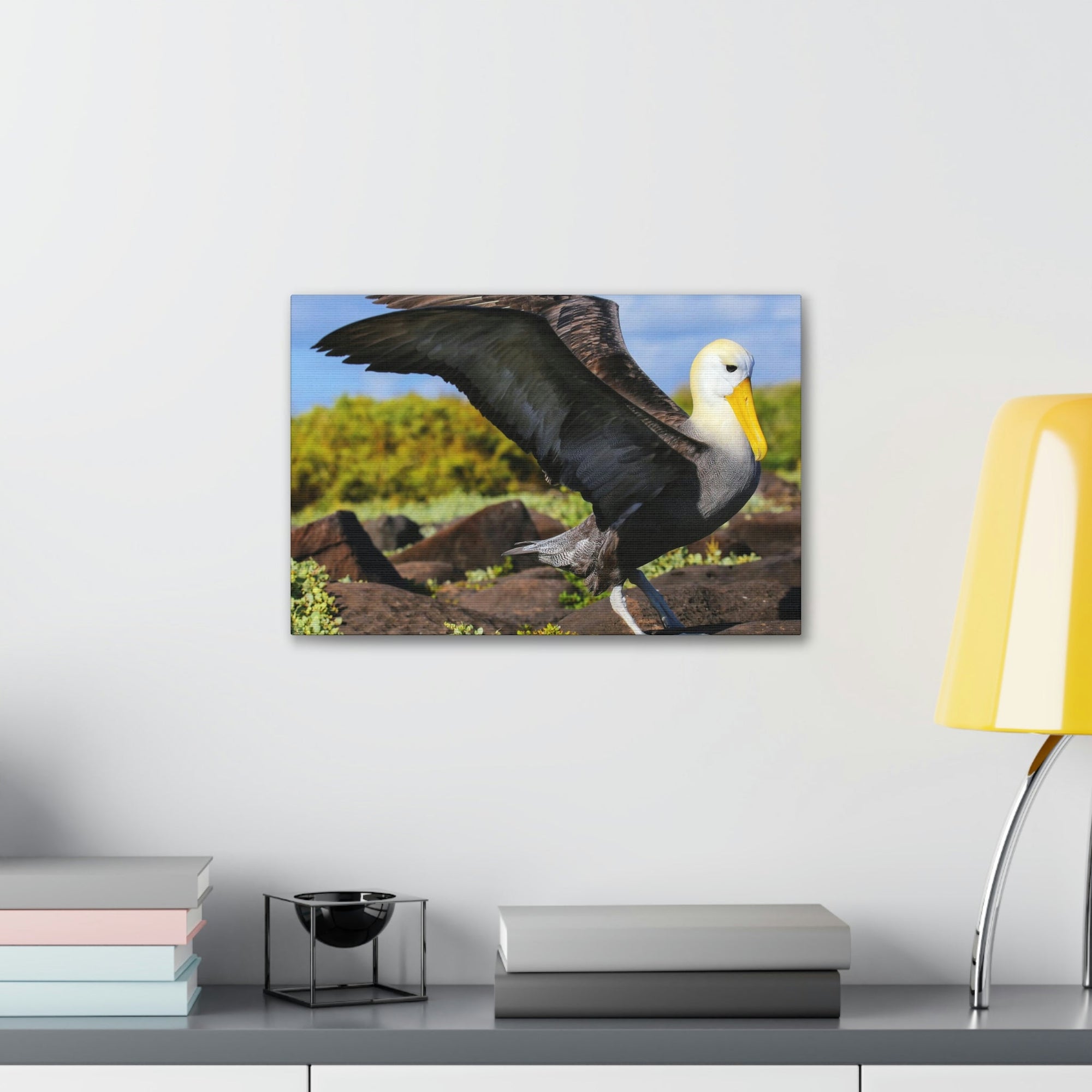 Scripture Walls Majestic Albatross Art Majestic Albatross Print Animal Wall Art Wildlife Canvas Prints Wall Art Ready to Hang Unframed-Express Your Love Gifts