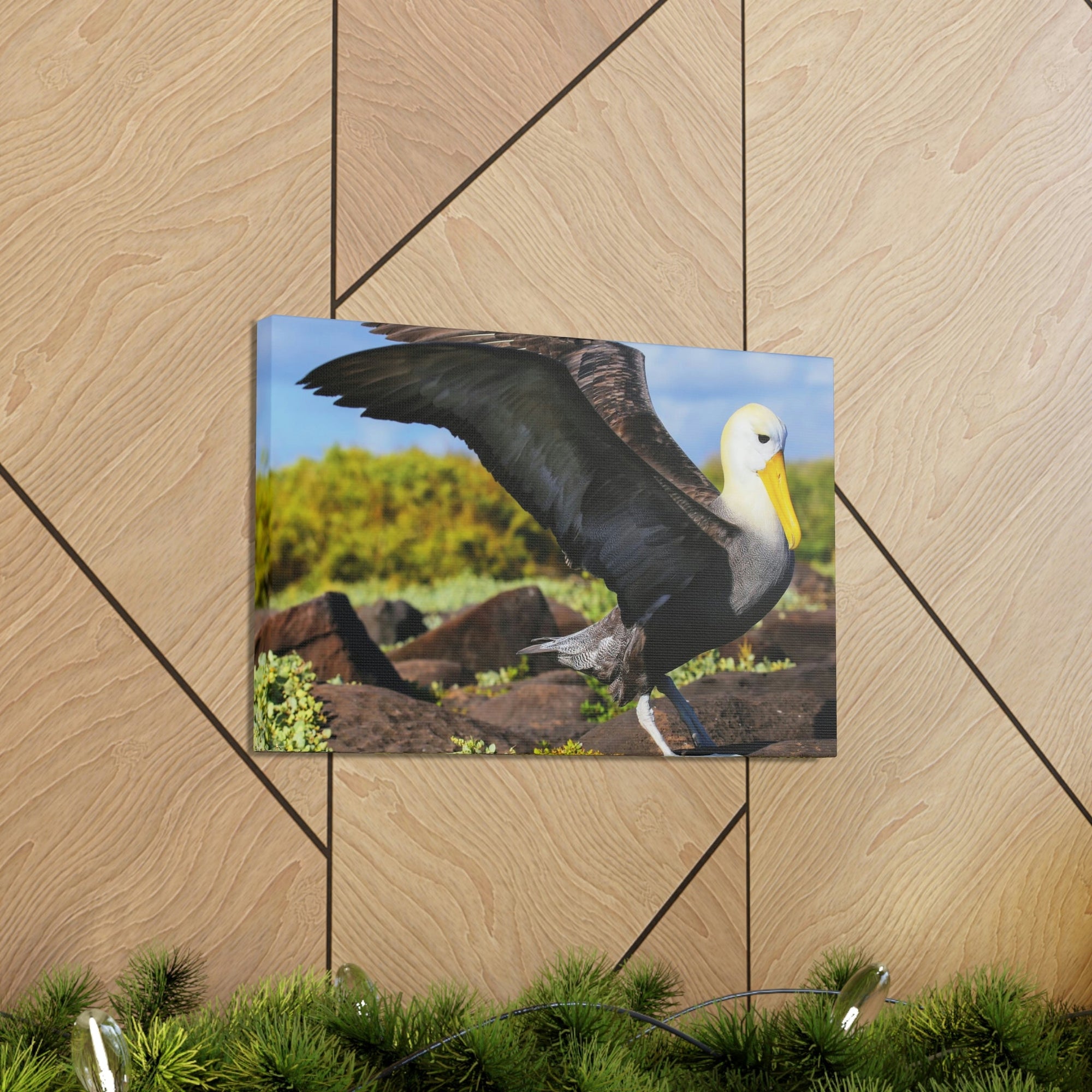 Scripture Walls Majestic Albatross Art Majestic Albatross Print Animal Wall Art Wildlife Canvas Prints Wall Art Ready to Hang Unframed-Express Your Love Gifts